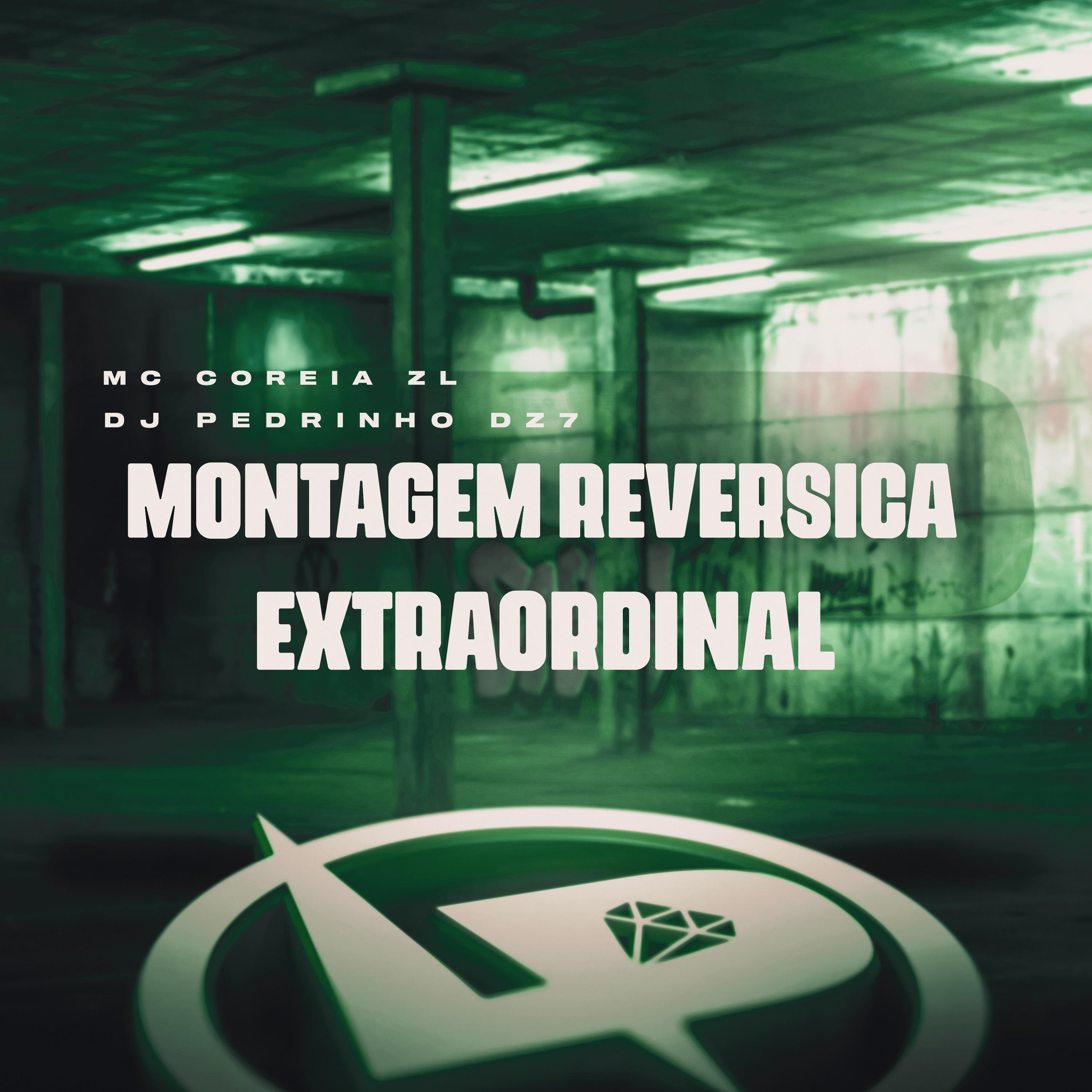 Постер альбома Montagem Reversica Extraordinal