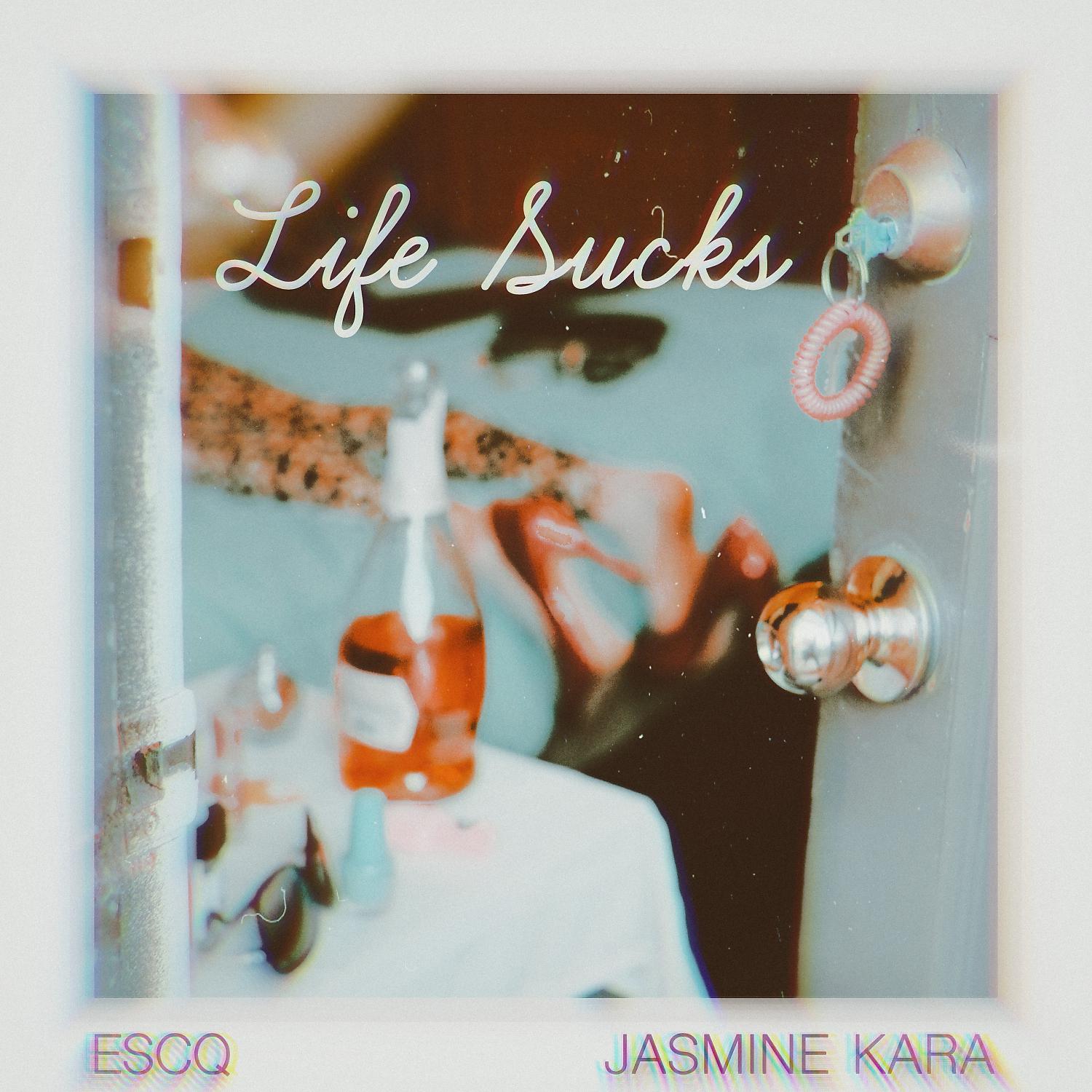 Постер альбома Life Sucks
