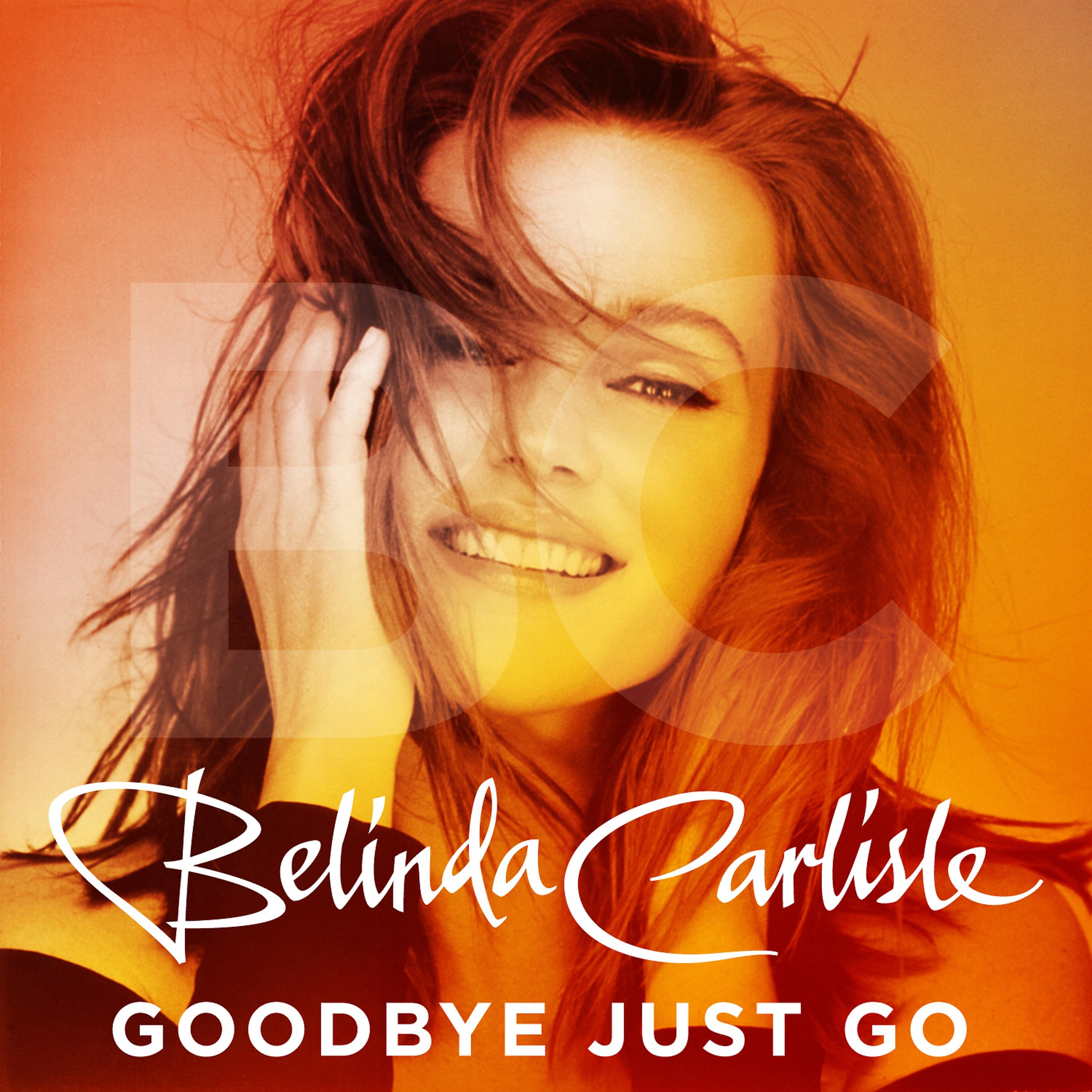 Постер альбома Goodbye Just Go