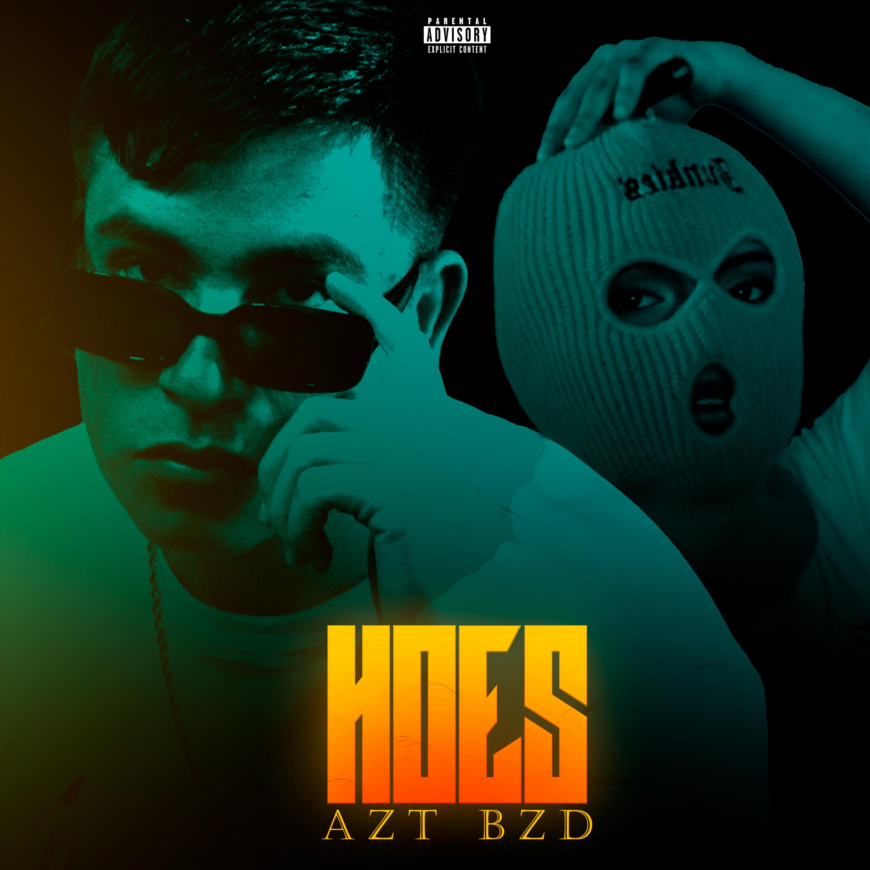 Постер альбома Hoes