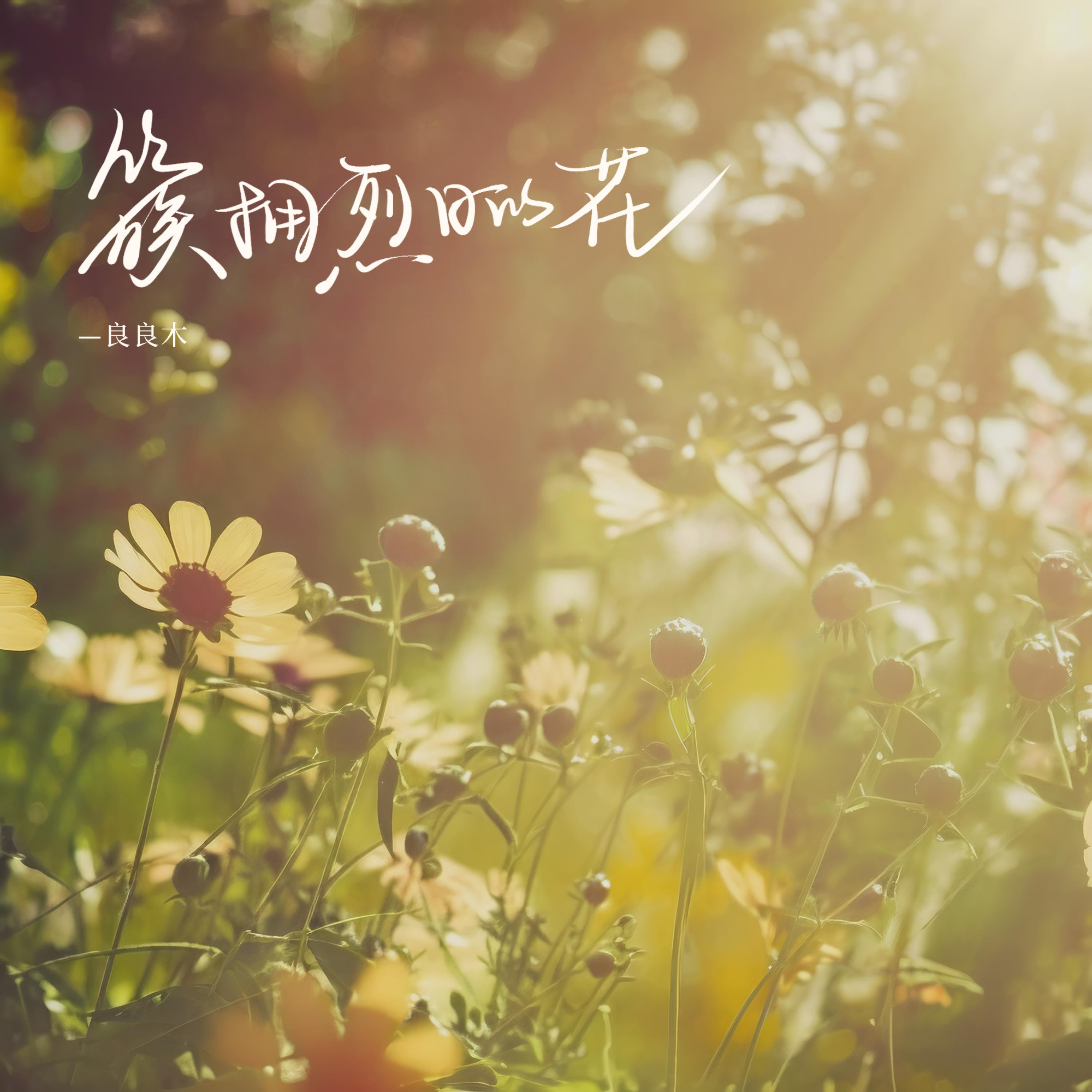 Постер альбома 簇拥烈日的花