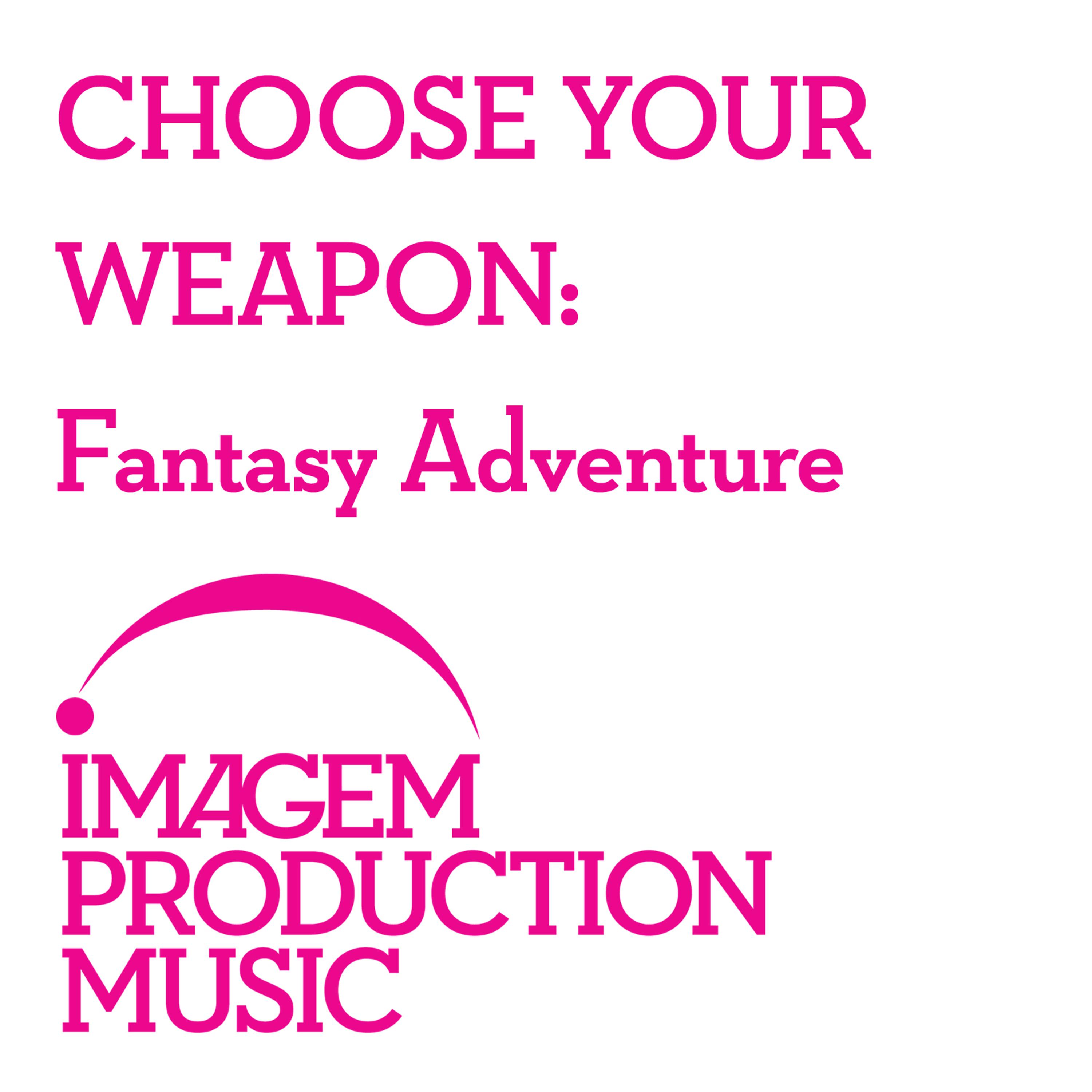 Постер альбома Choose Your Weapon: Fantasy Adventure
