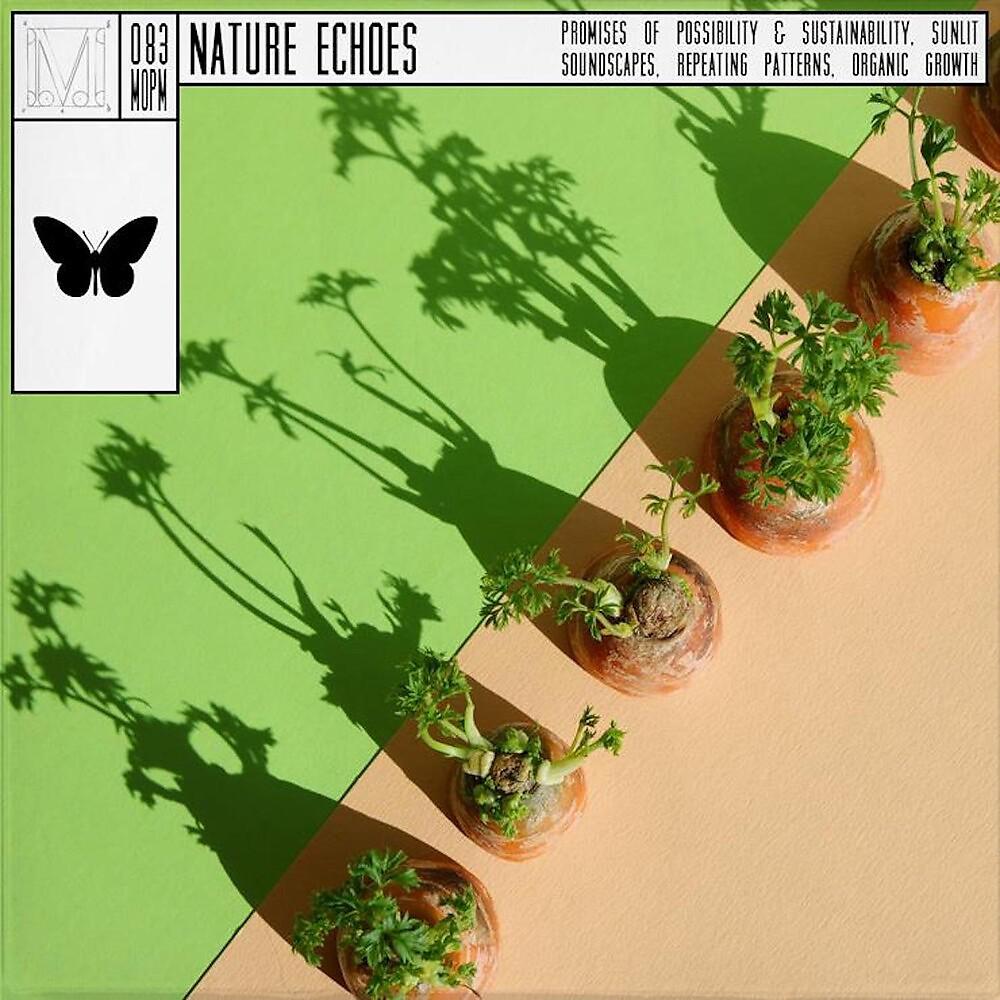 Постер альбома Nature Echoes