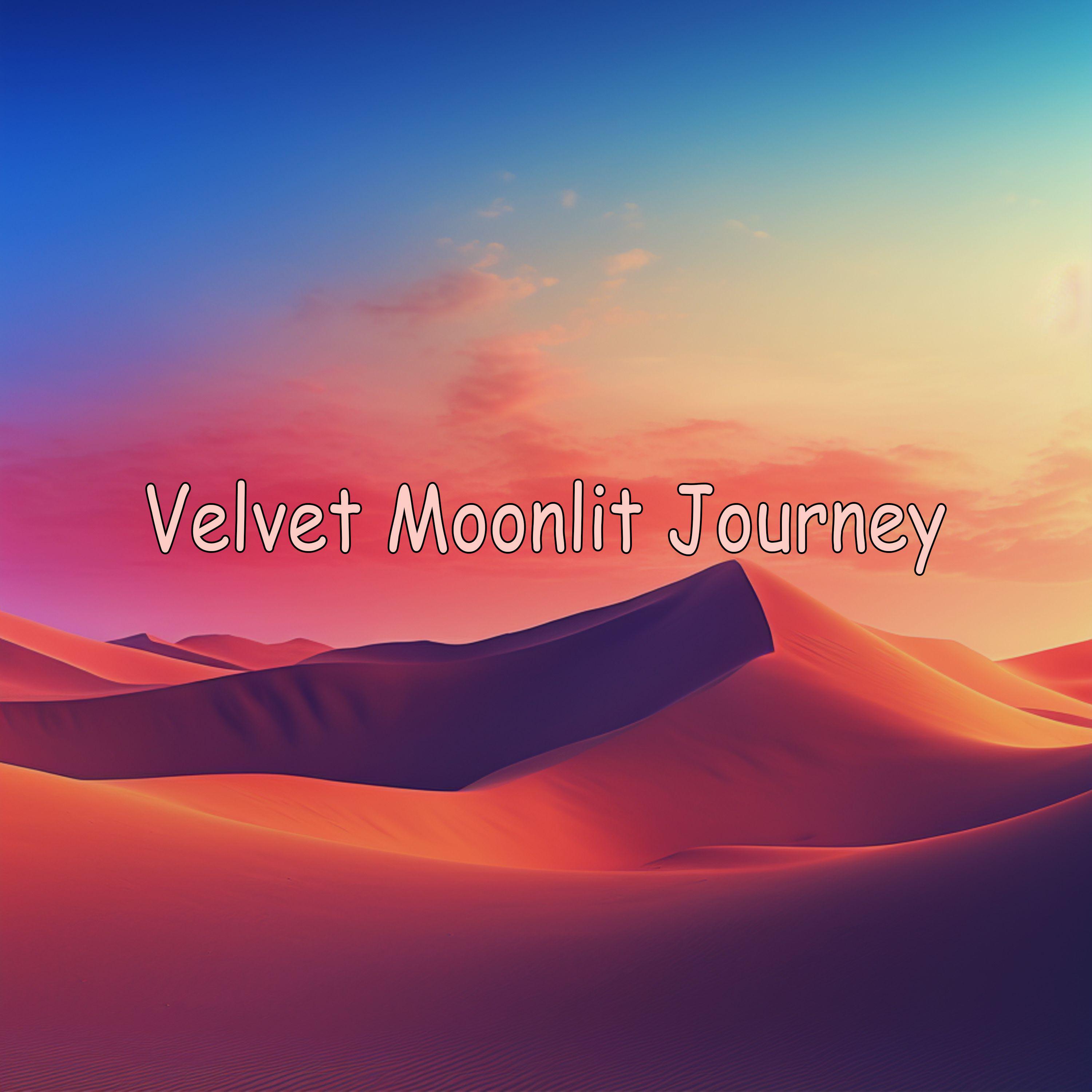 Постер альбома Velvet Moonlit Journey