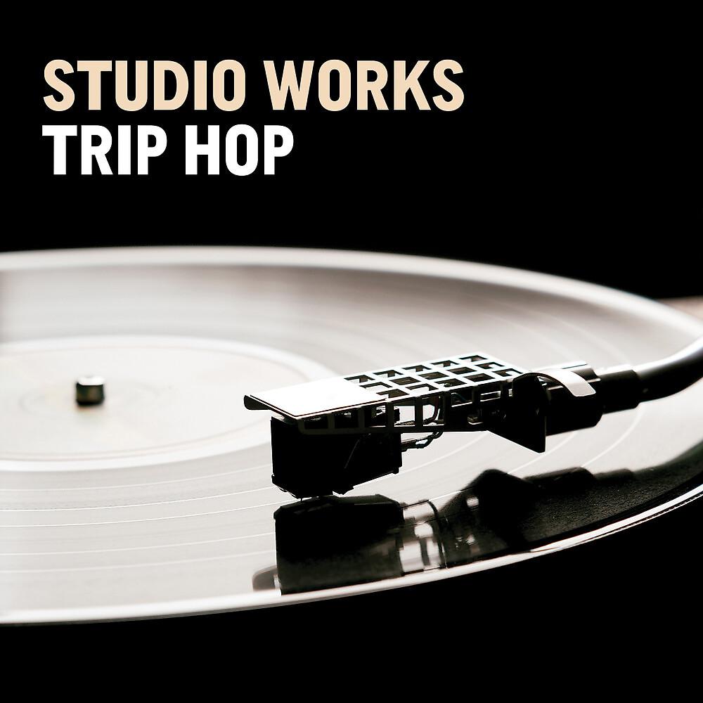 Постер альбома Studio Works - Trip Hop