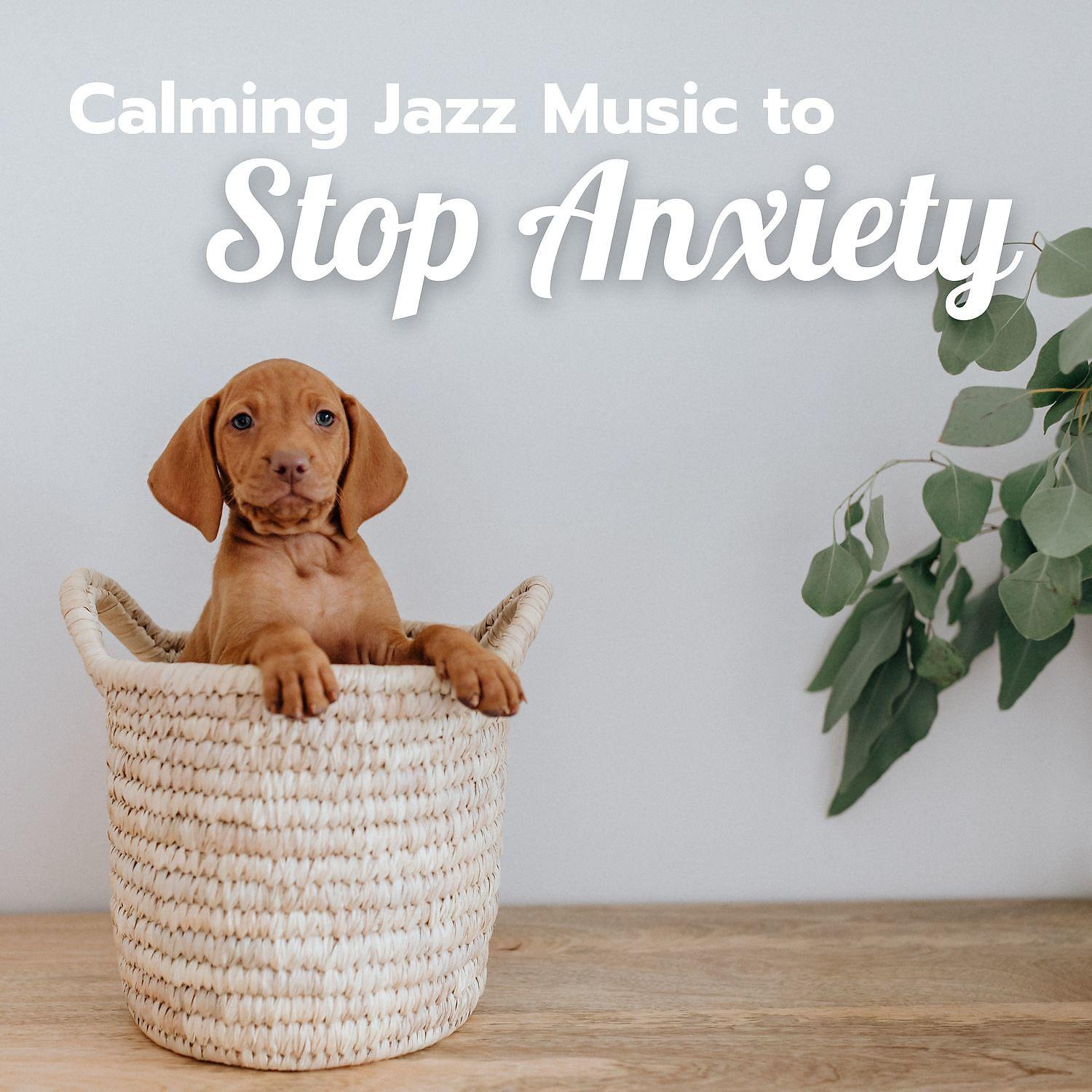Постер альбома Calming Jazz Music to Stop Anxiety