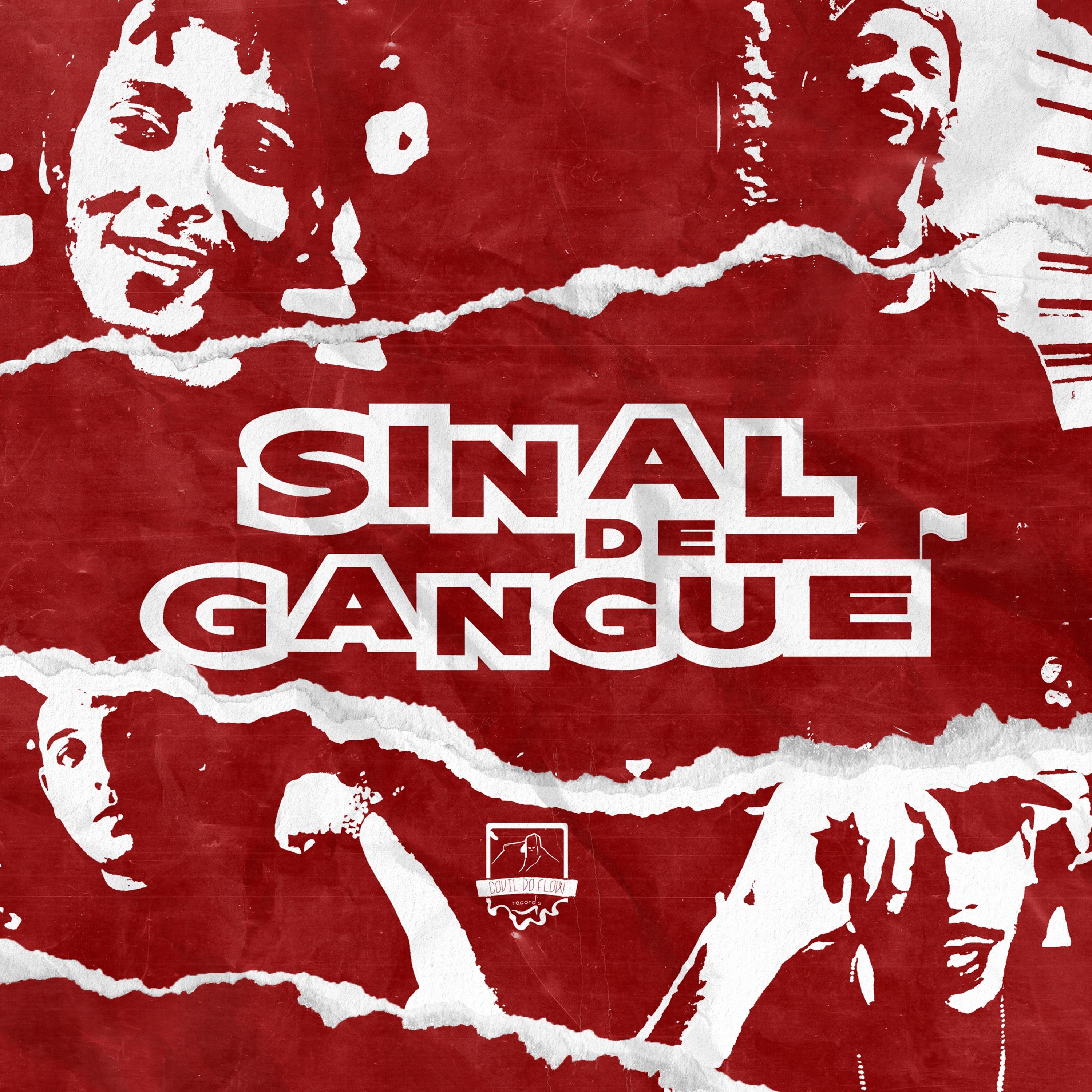 Постер альбома Sinal de Gangue