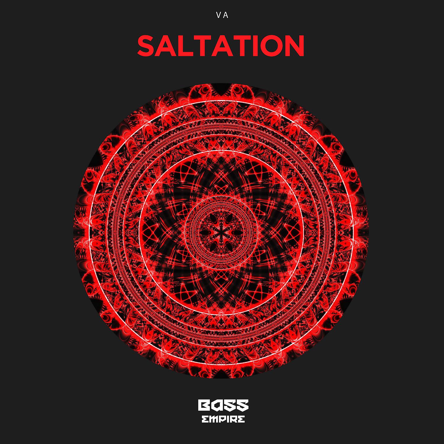 Постер альбома Saltation