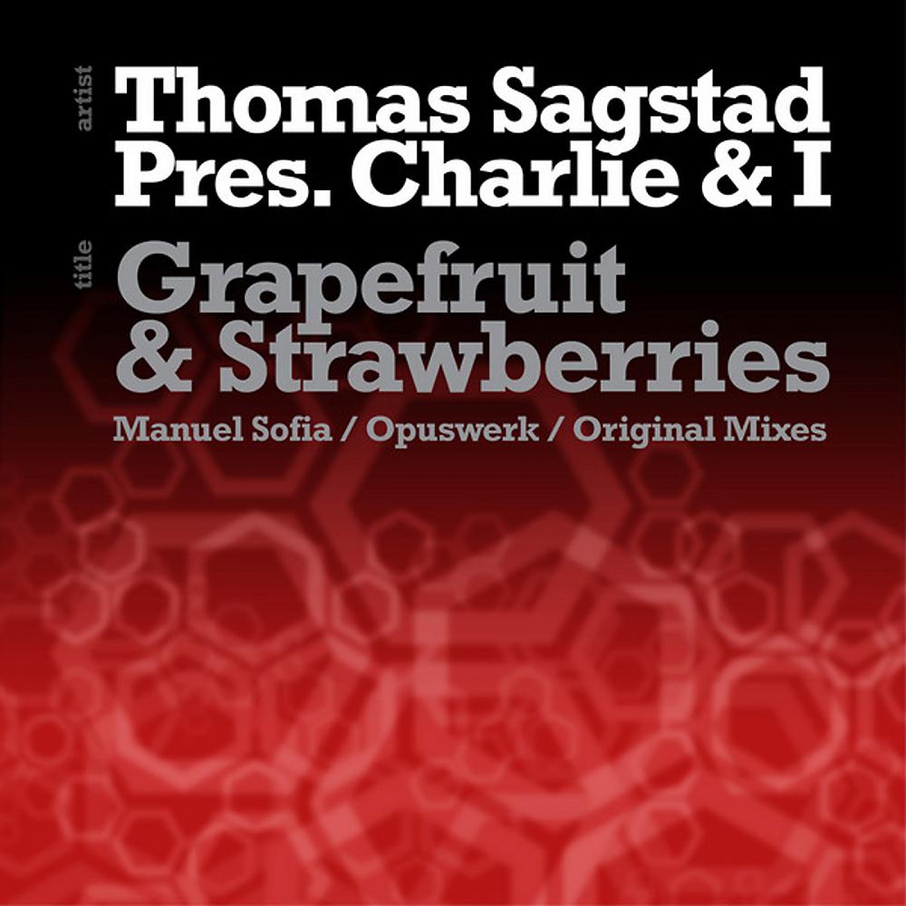 Постер альбома Grapefruit & Strawberries (Opuswerk Remixes)