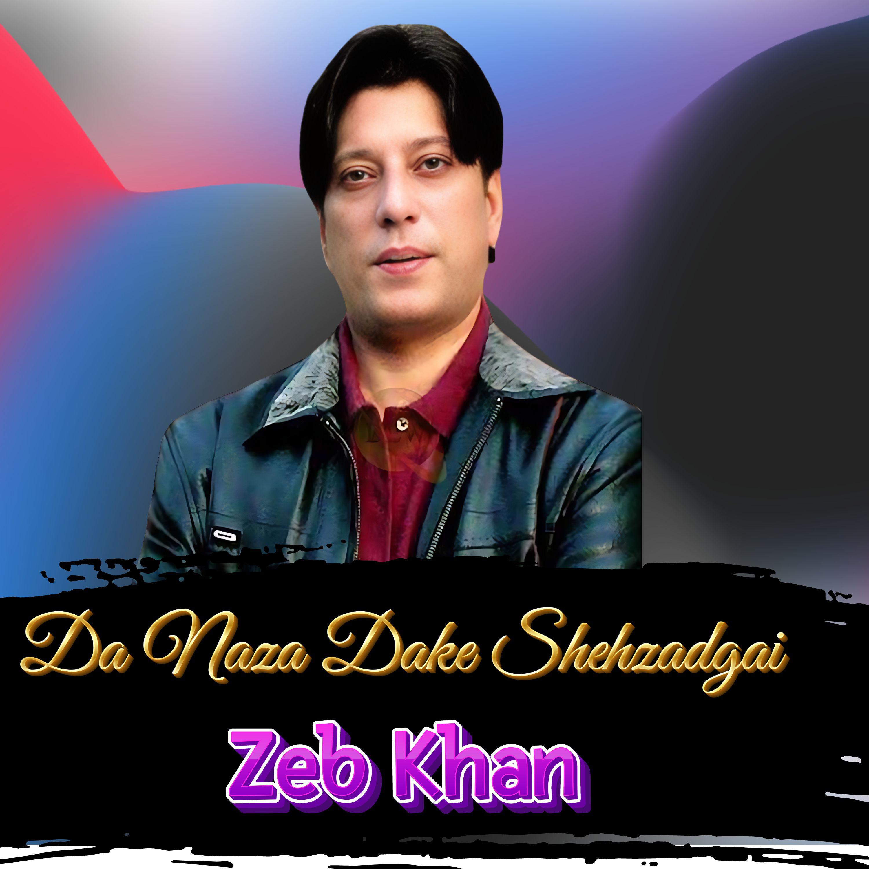Постер альбома Da Naza Dake Shahzadgai