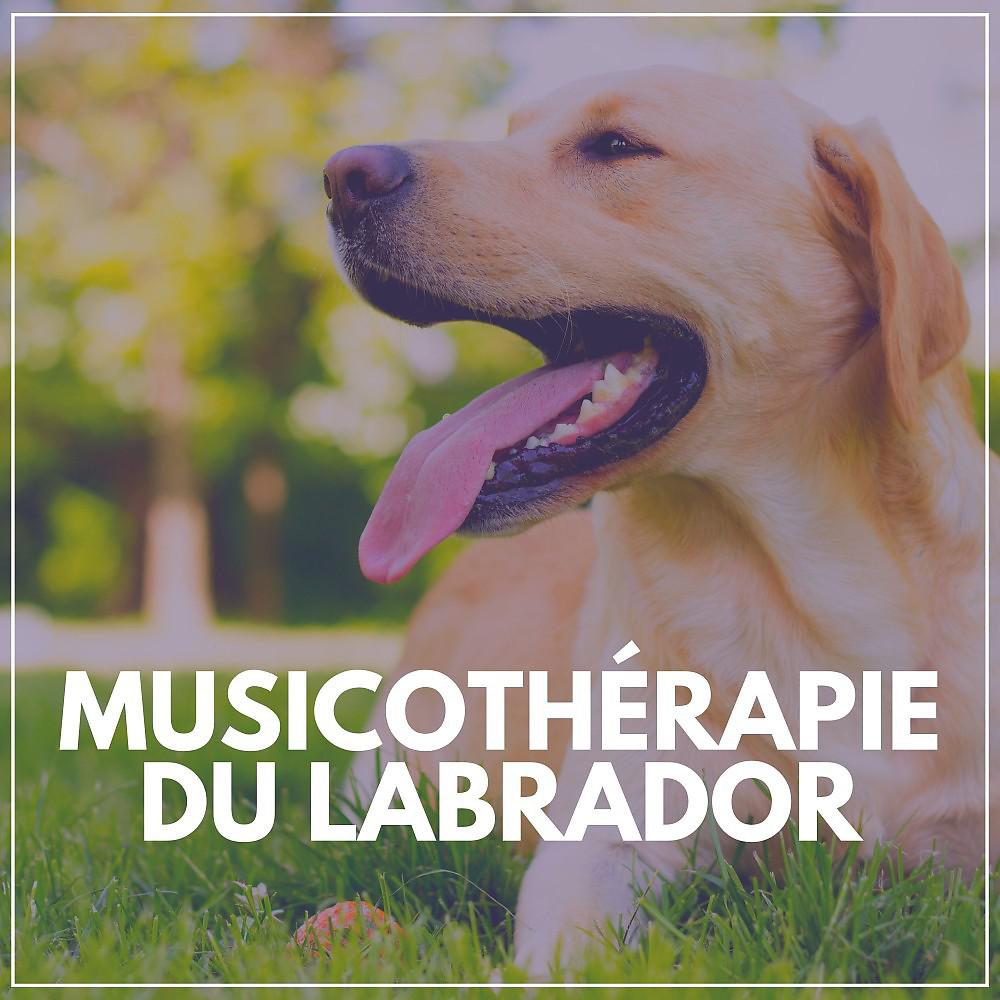 Постер альбома Musicothérapie du Labrador