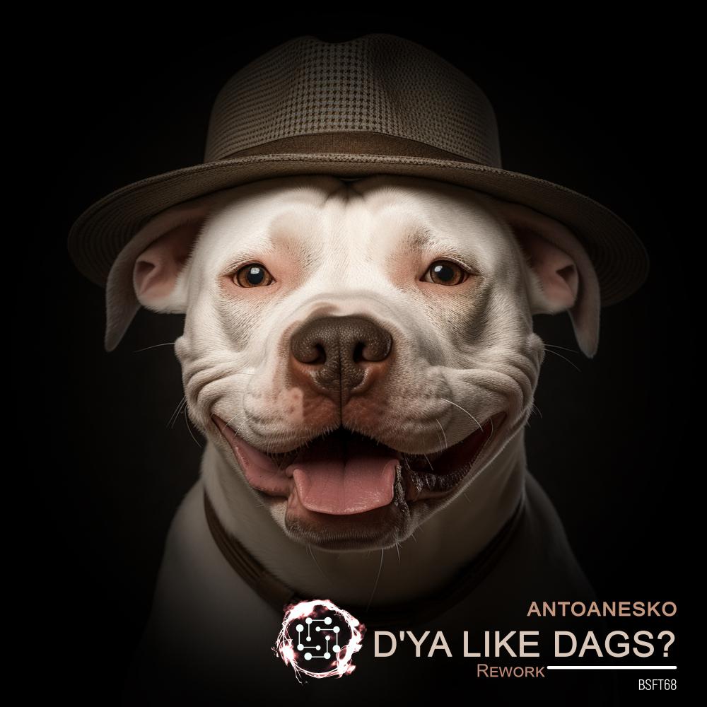 Постер альбома D'Ya Like Dags ? (Rework)