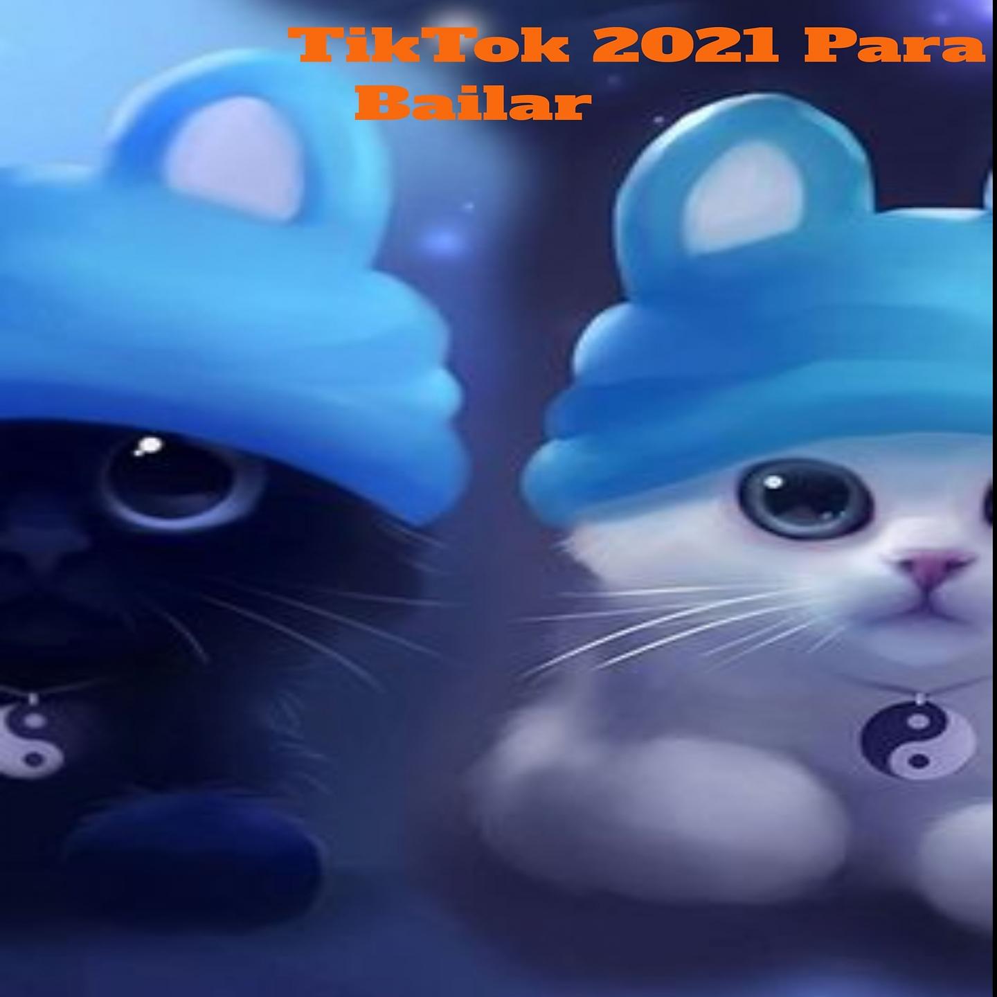 Постер альбома TikTok 2021 Para Bailar