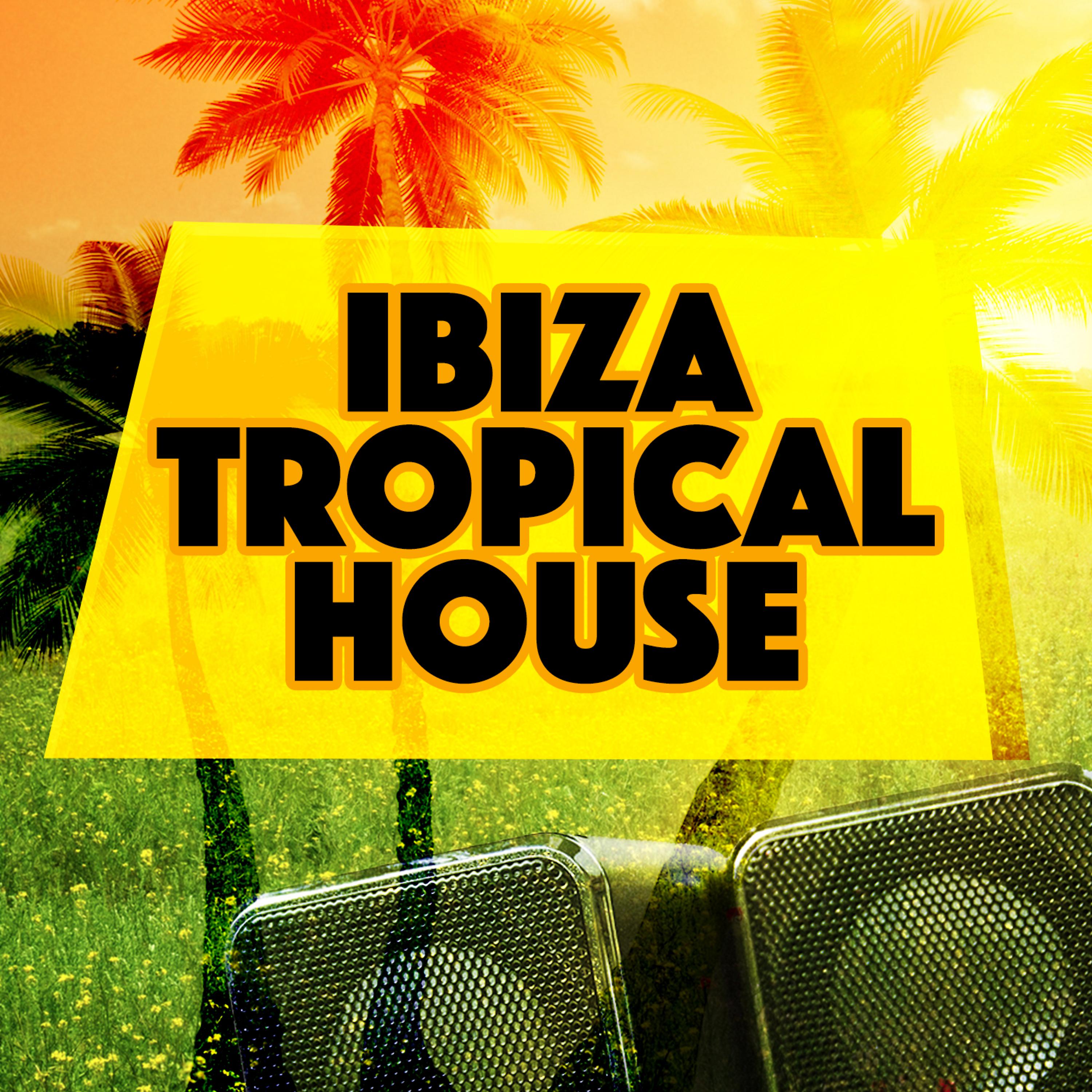 Постер альбома Ibiza Tropical House