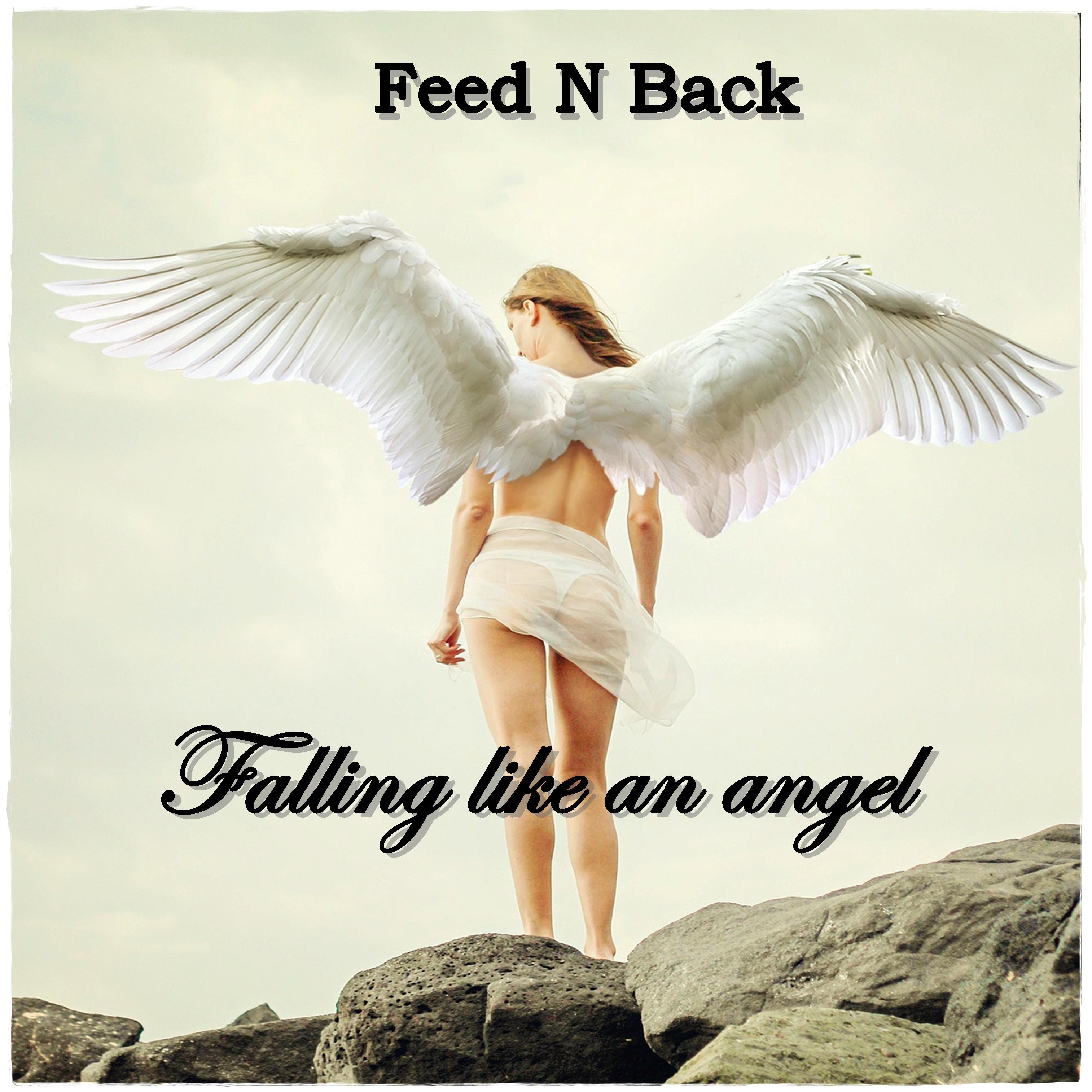 Постер альбома Falling Like an Angel