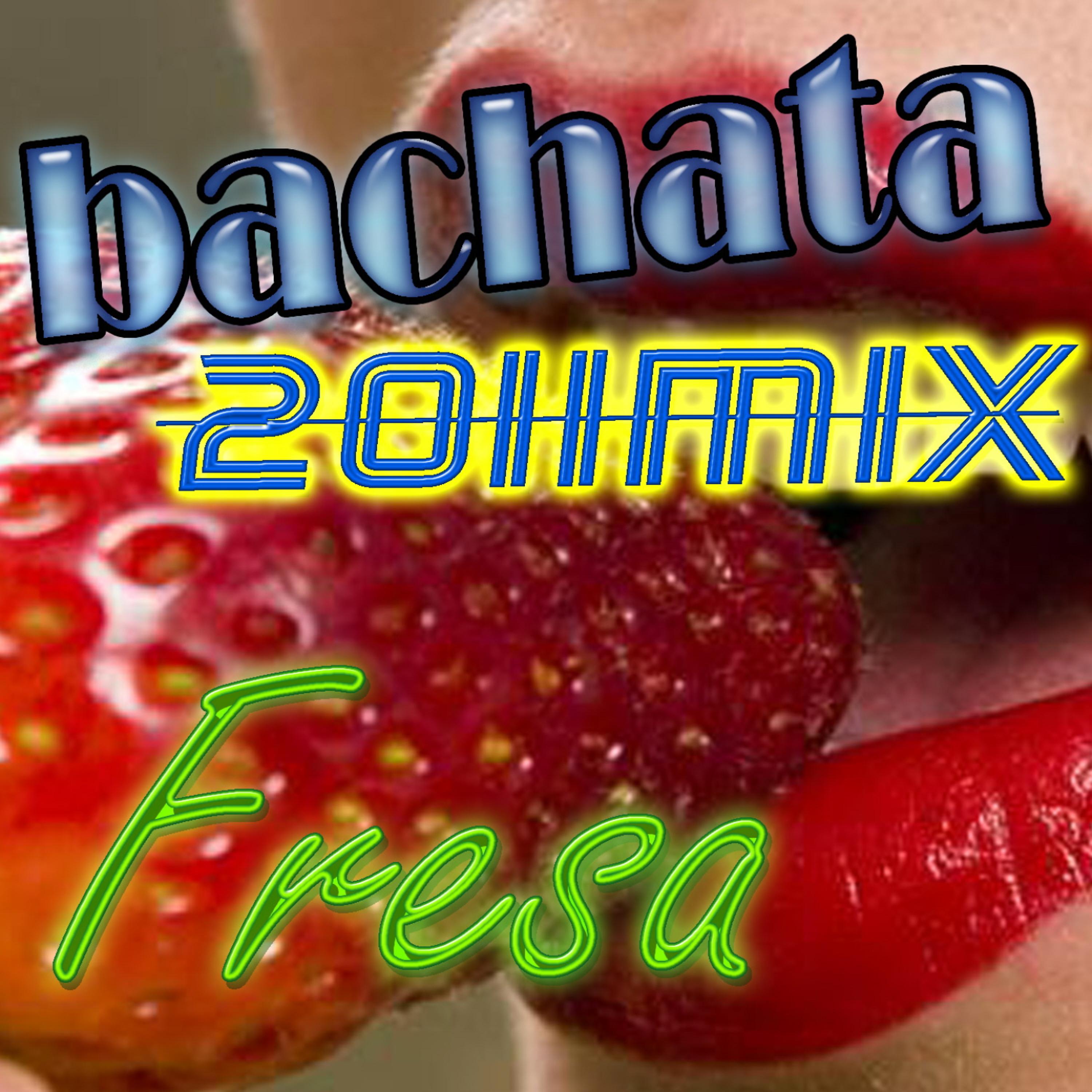 Постер альбома Bachata Fresa 2011 Mix