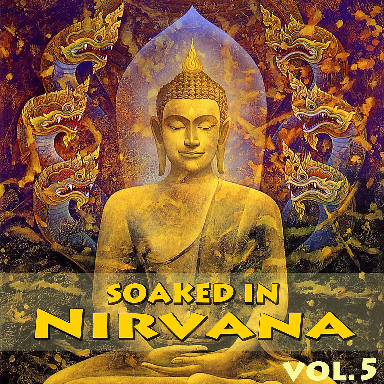 Постер альбома Soaked In Nirvana, Vol.5