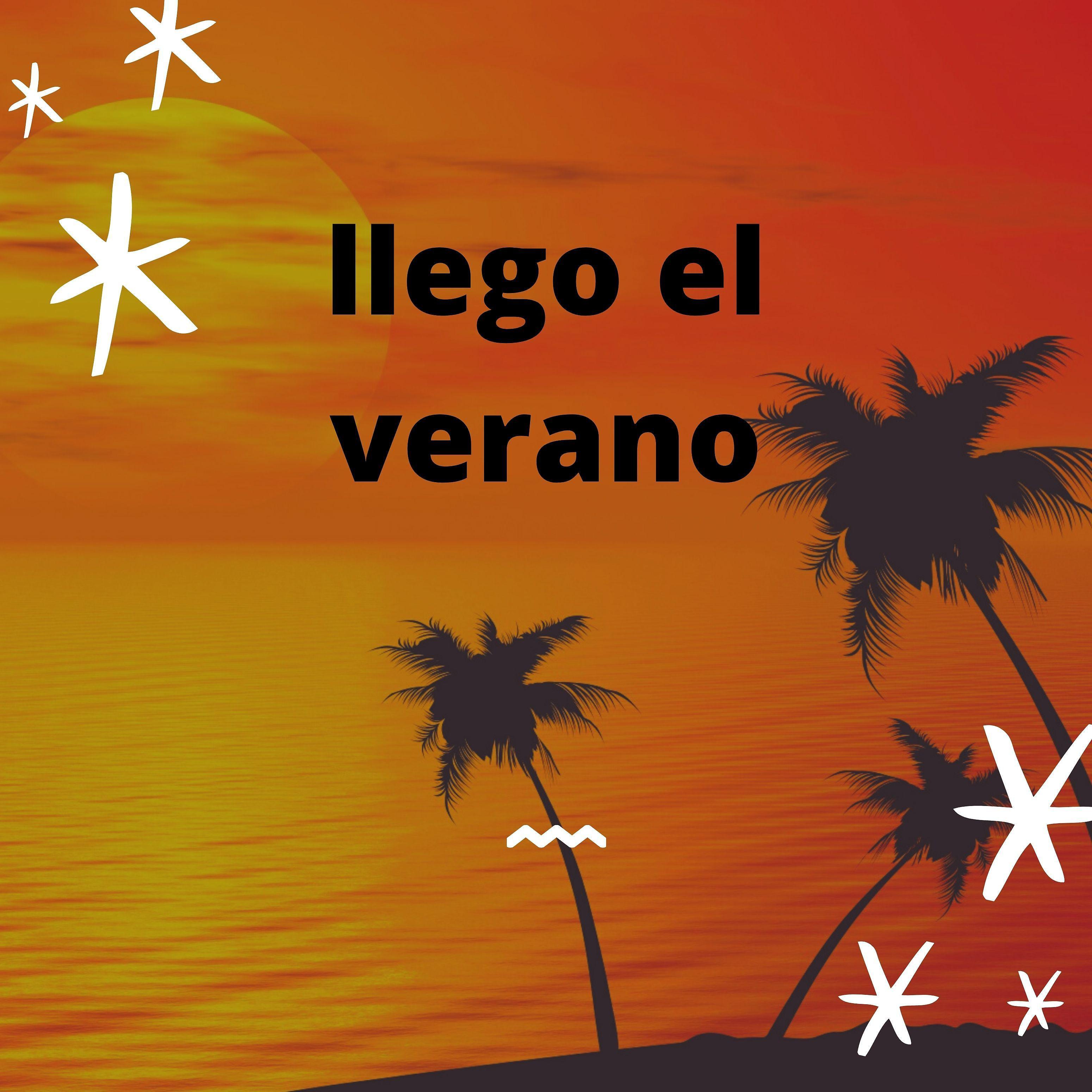 Постер альбома Llego El Verano