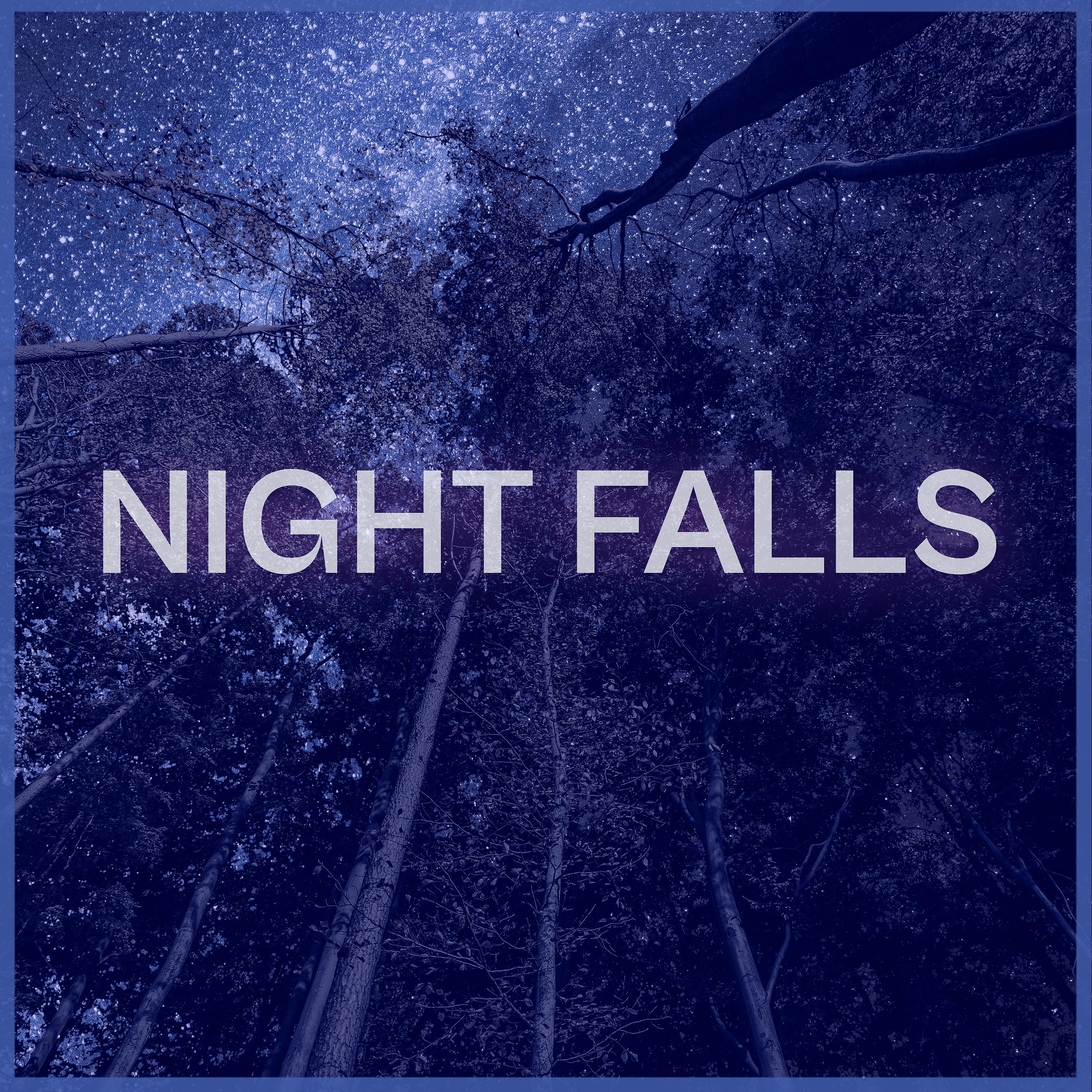 Постер альбома Night Falls