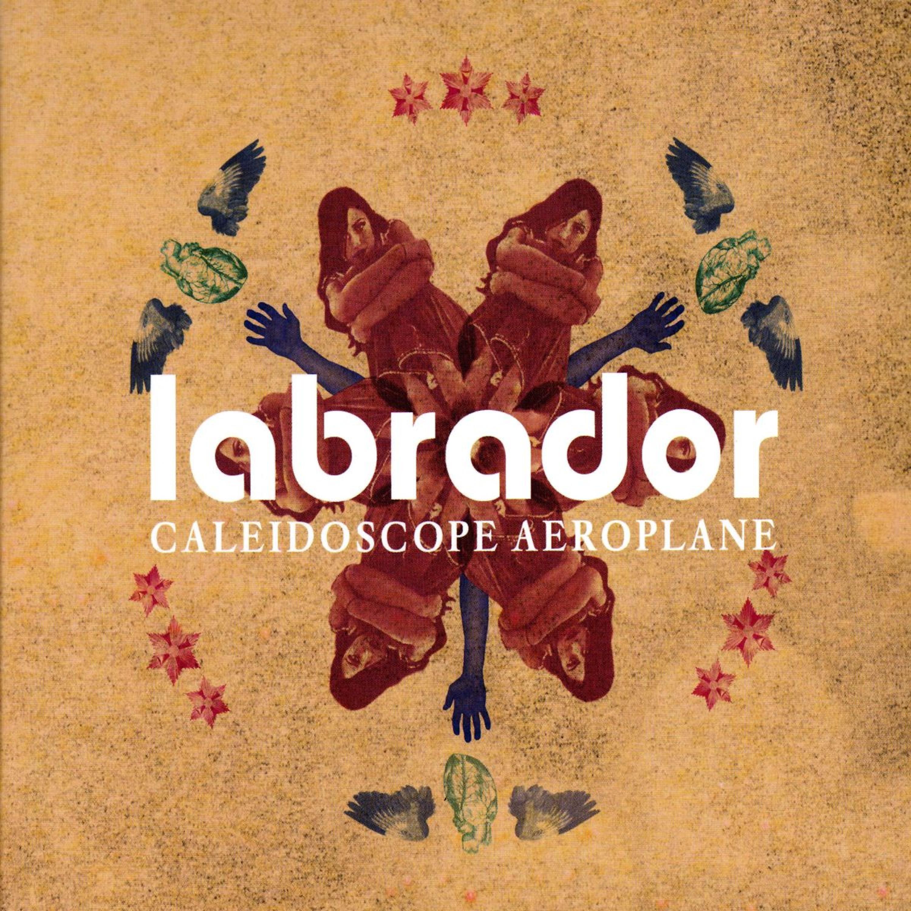 Постер альбома Caleidoscope Aeroplane