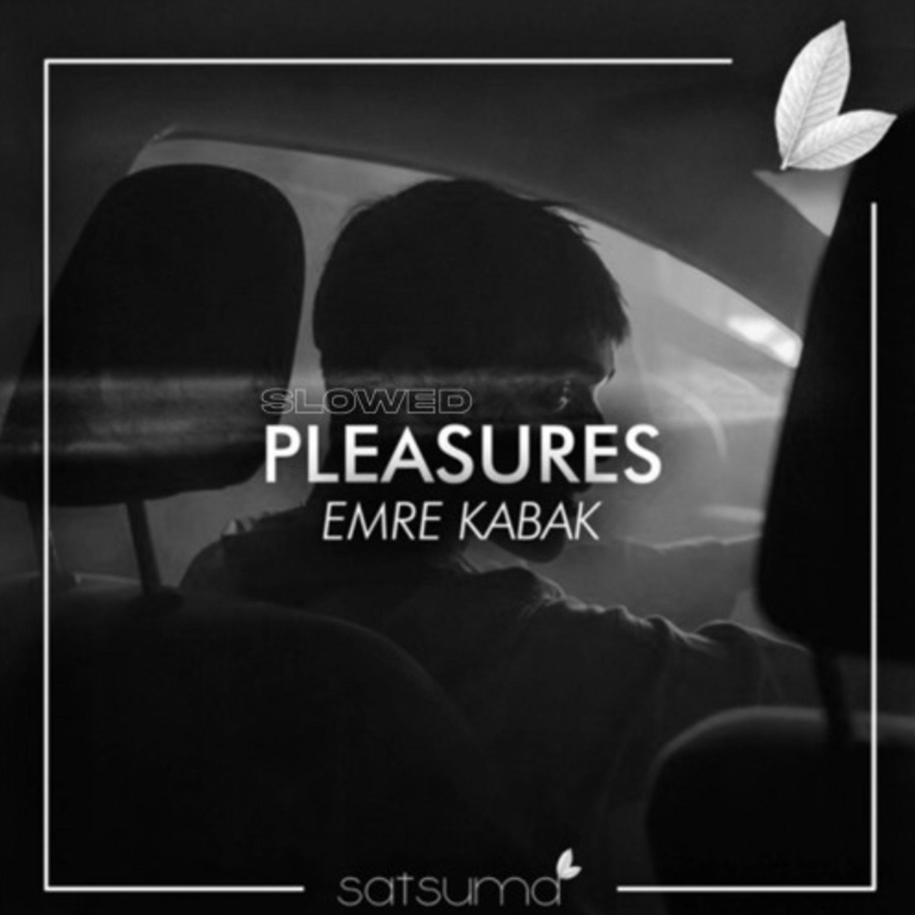 Постер альбома Pleasures