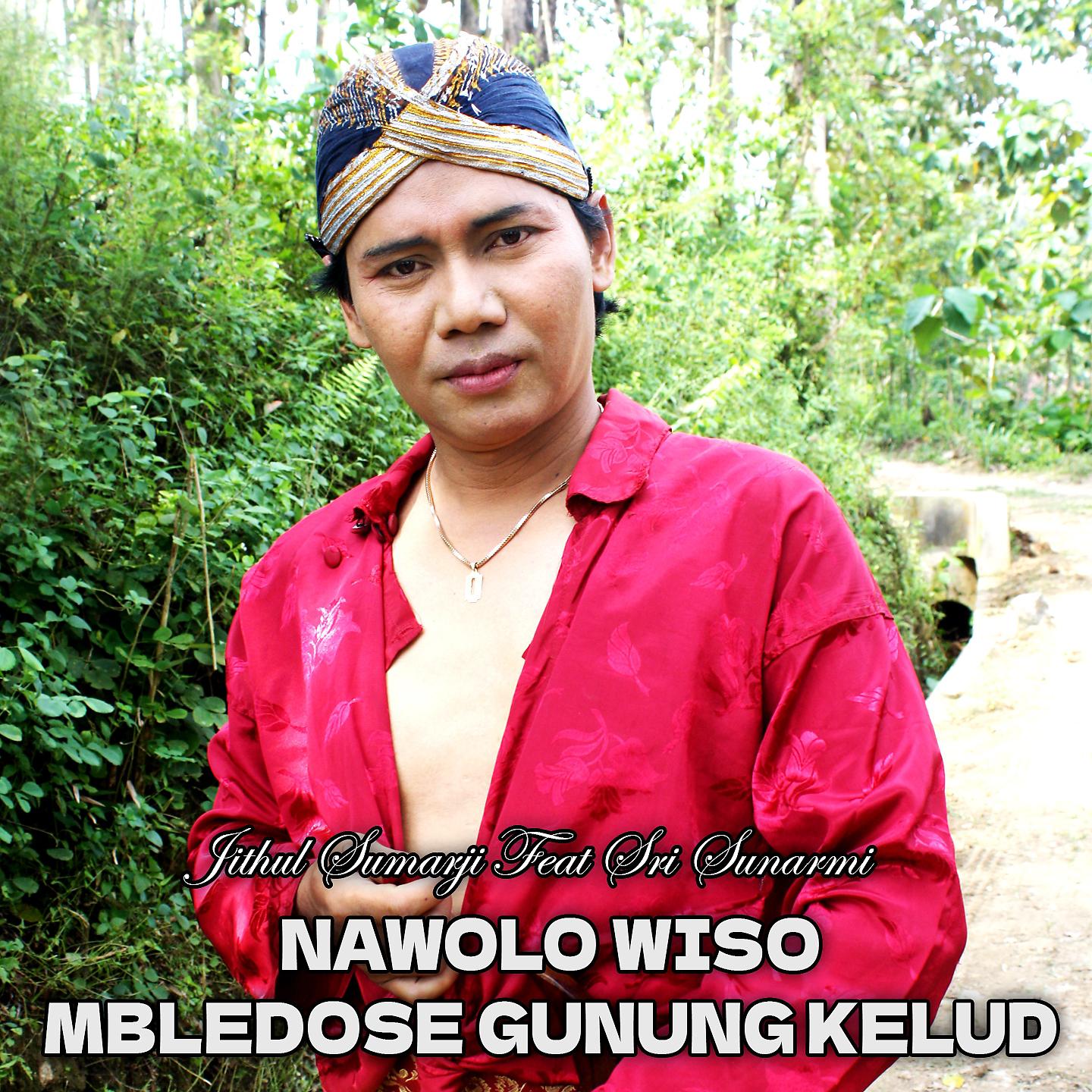 Постер альбома Nawolo Wiso - Mbledose Gunung Kelud