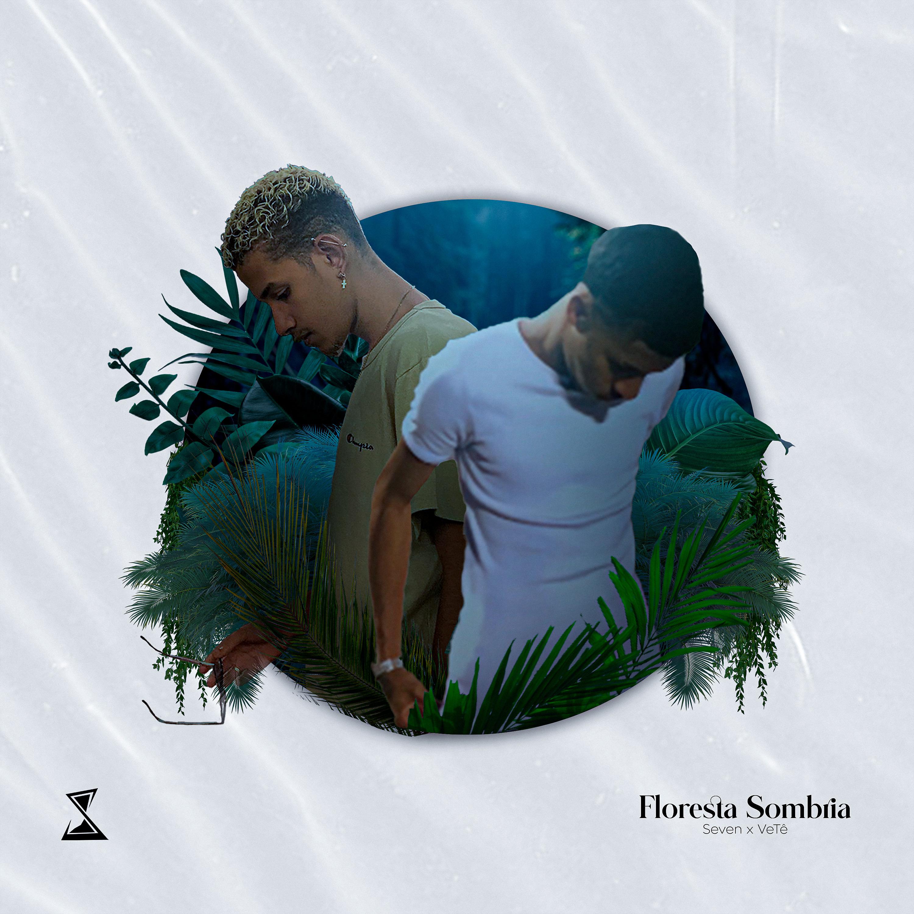 Постер альбома Floresta Sombria