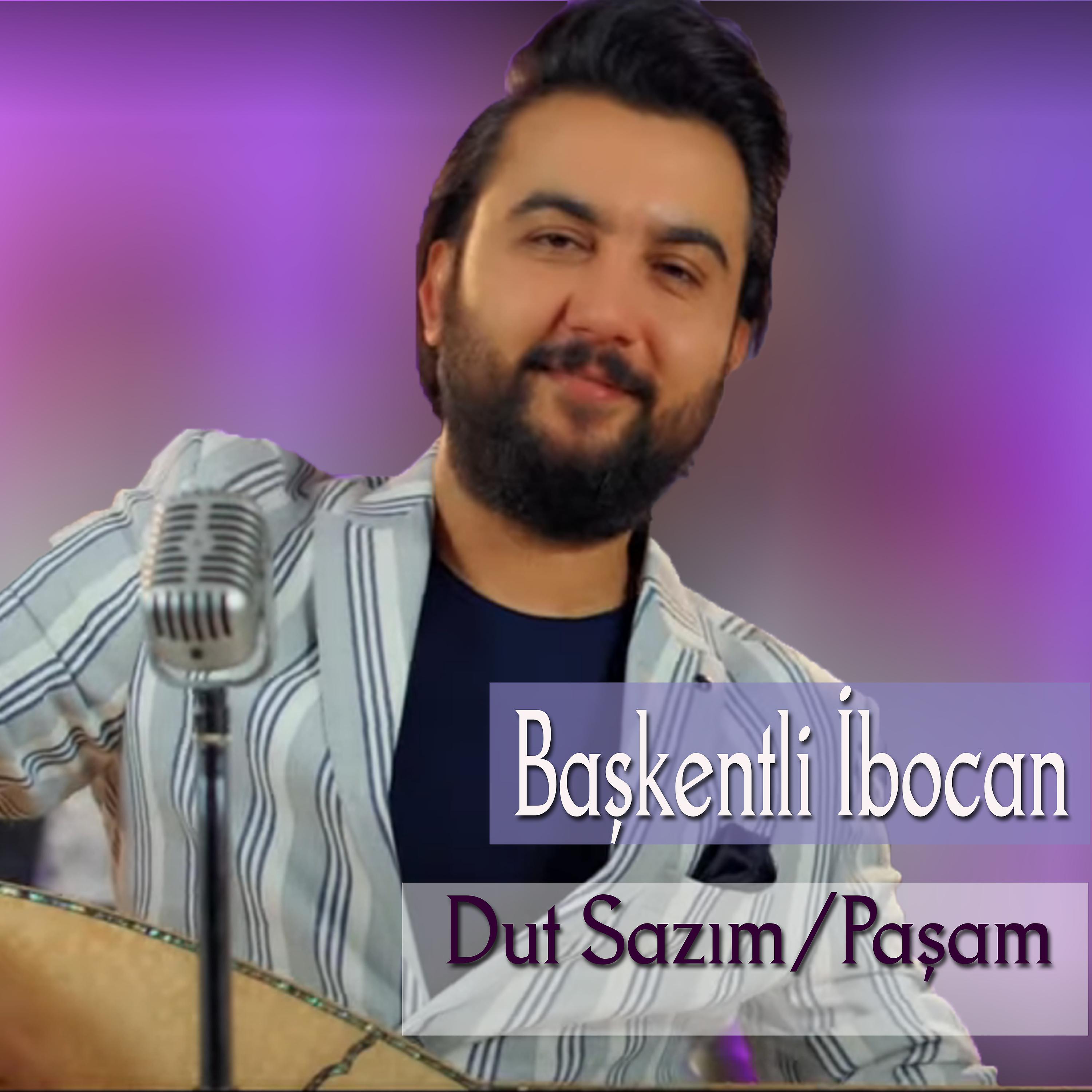 Постер альбома Dut Sazım/Paşam