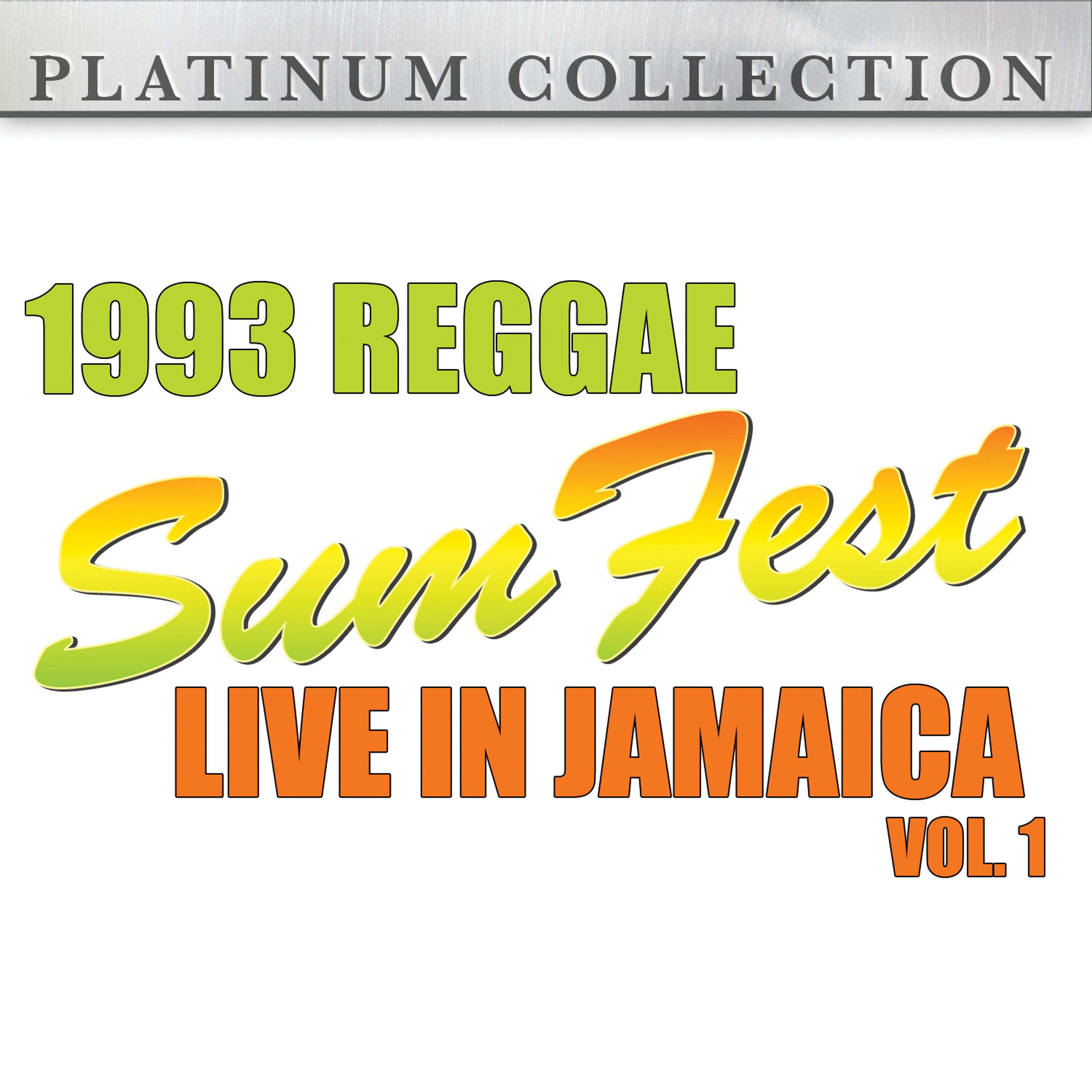 Постер альбома 1993 Reggae Sumfest - Live in Jamaica Vol. 1