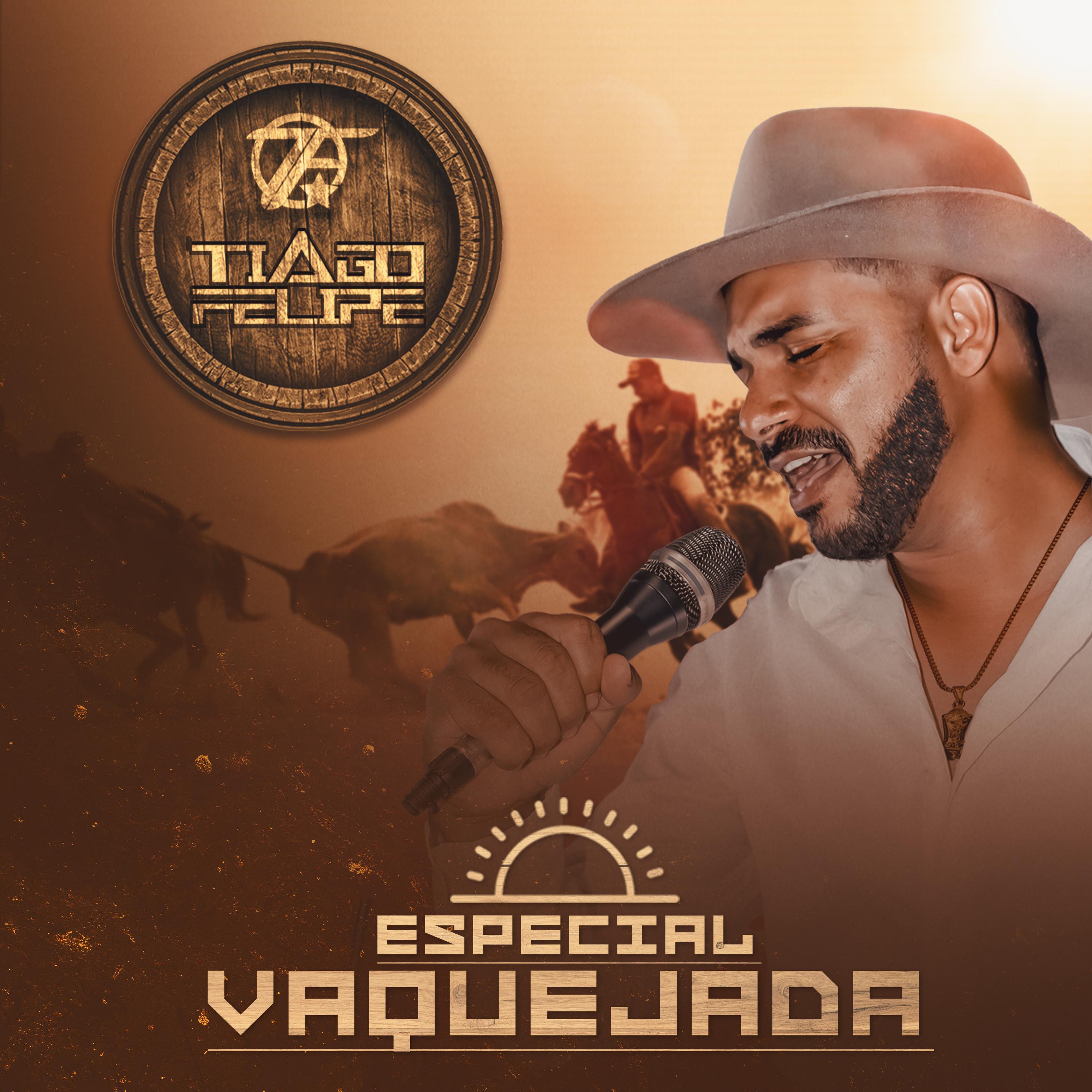 Постер альбома Especial Vaquejada