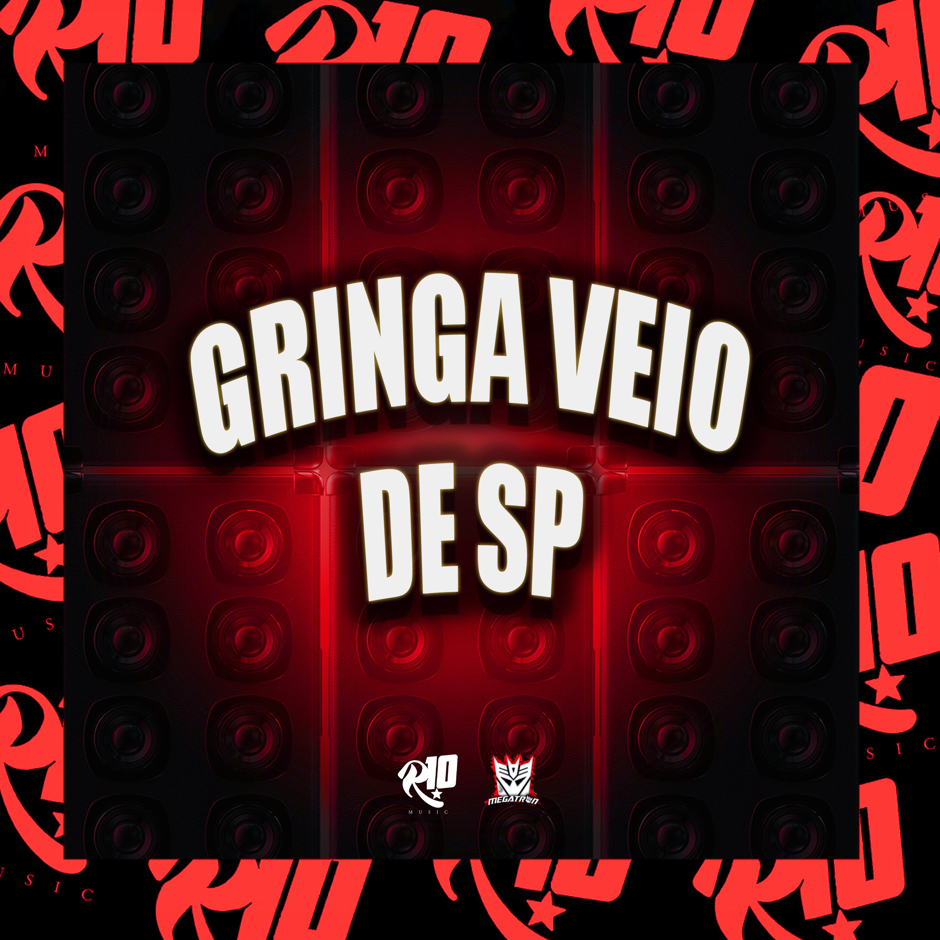 Постер альбома Gringa Veio de Sp