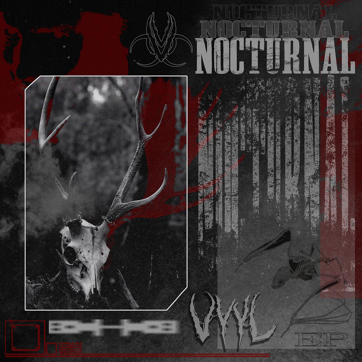 Постер альбома Nocturnal