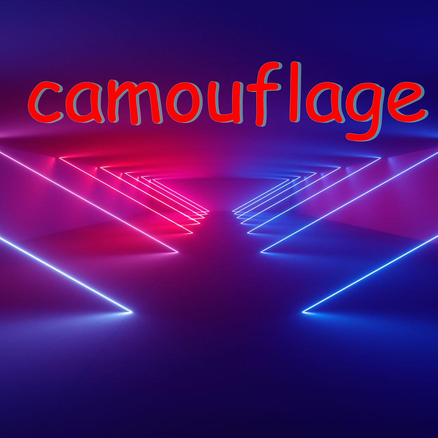 Постер альбома camouflage