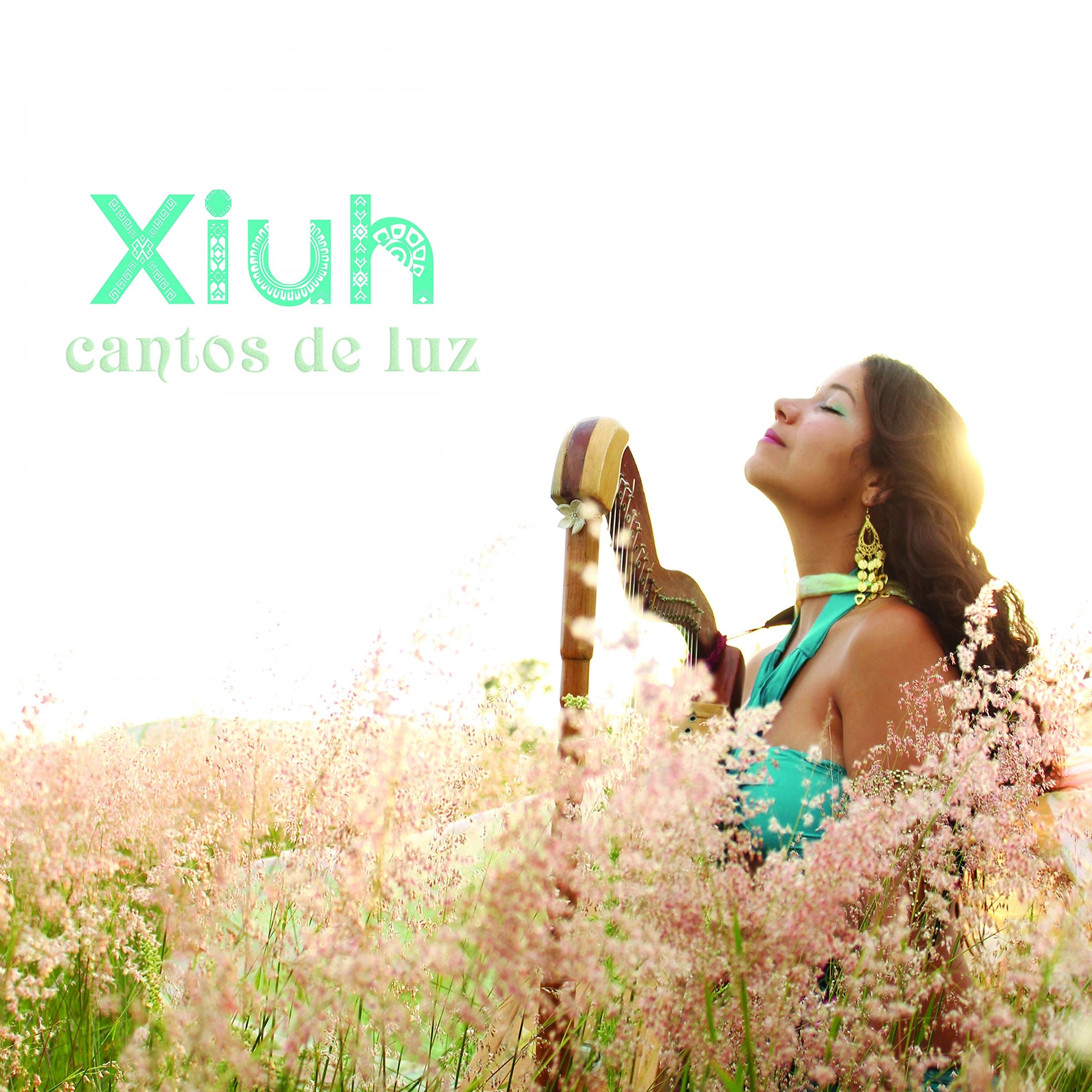 Постер альбома Cantos de Luz