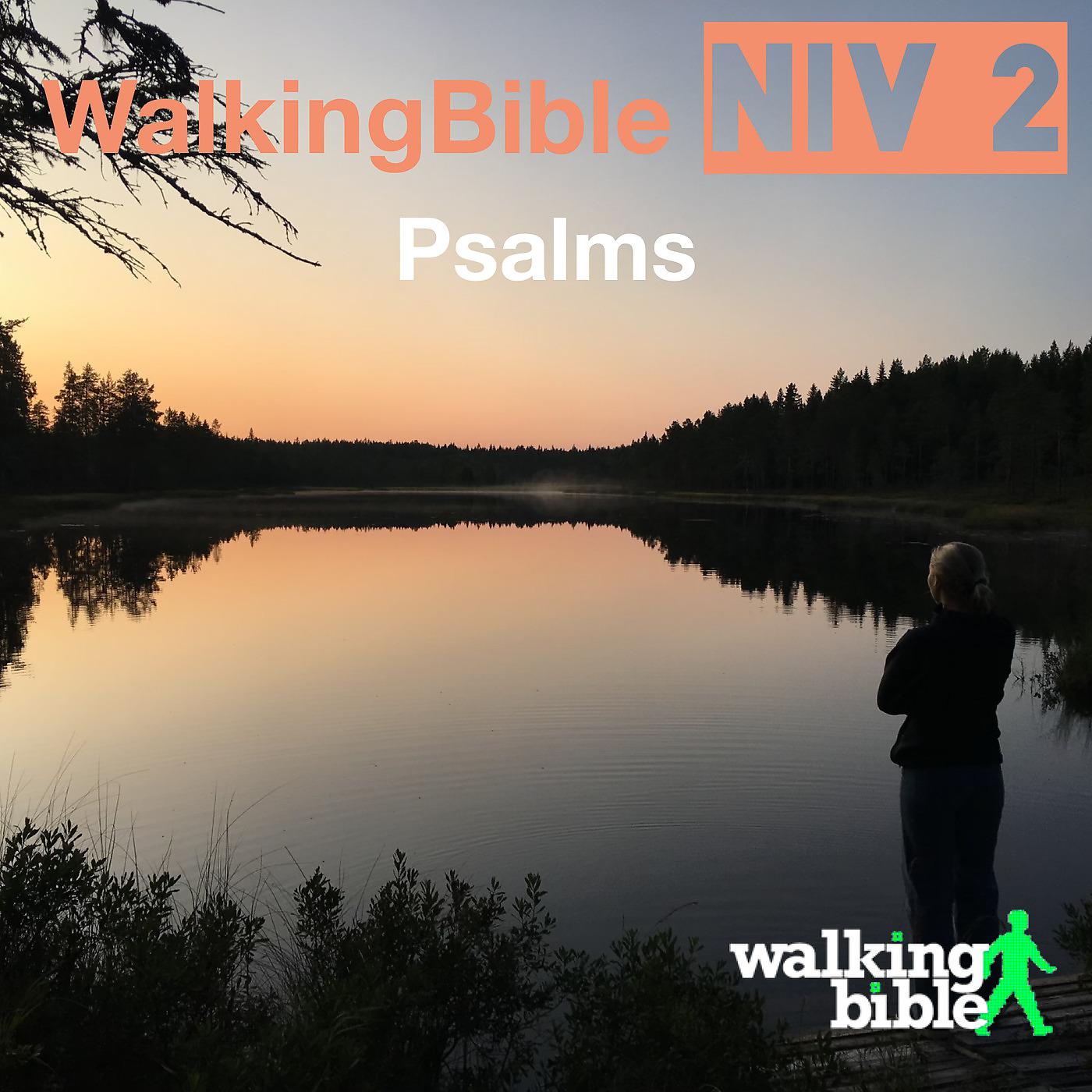Постер альбома WalkingBible Niv 2 Psalms