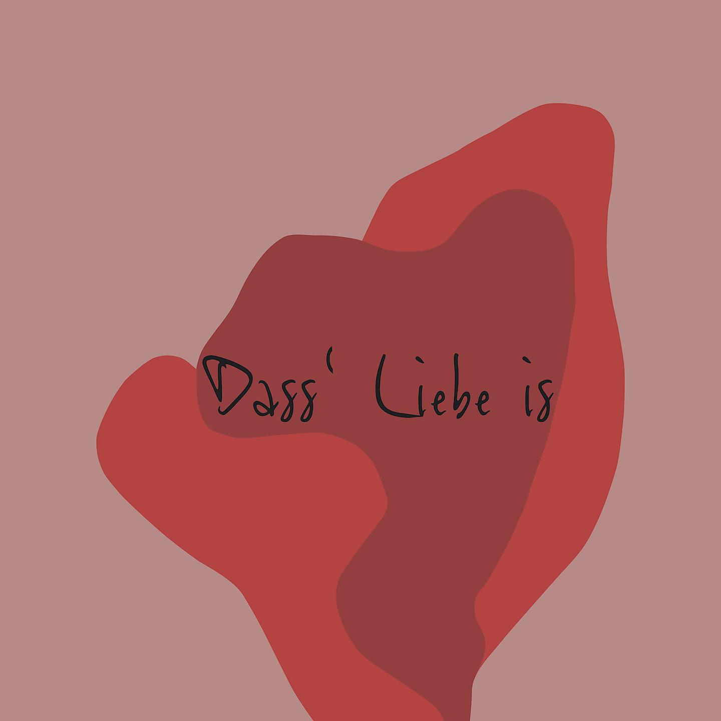 Постер альбома Dass' Liebe is