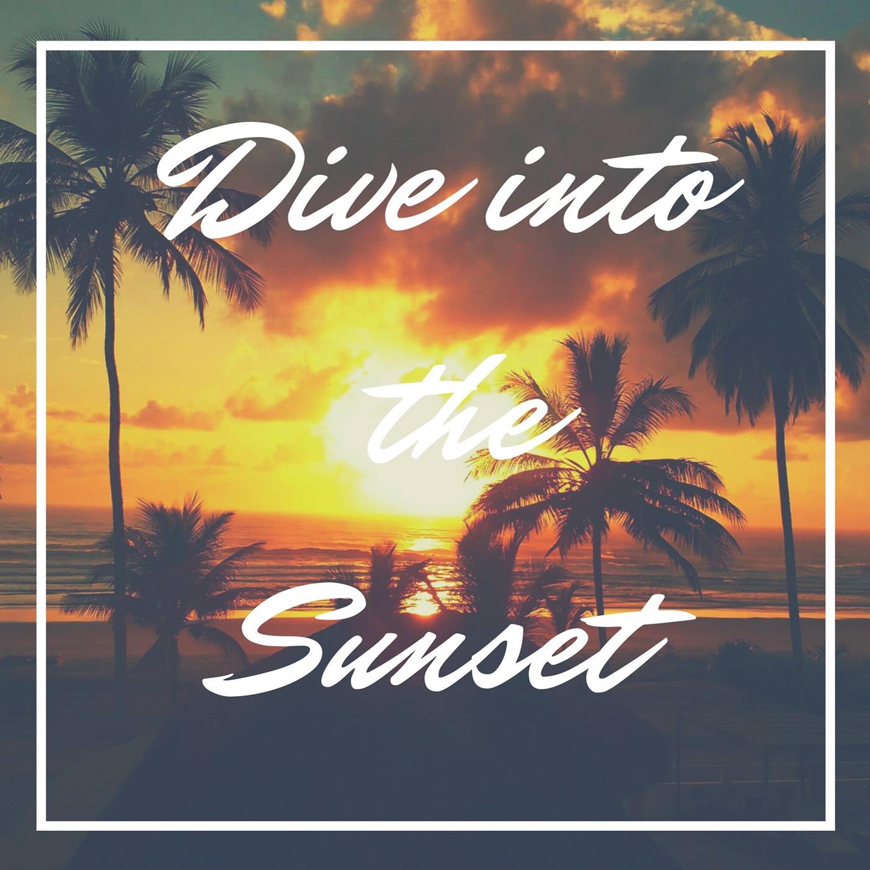 Постер альбома Dive into the Sunset