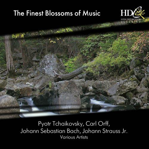 Постер альбома The Finest Blossoms of Music