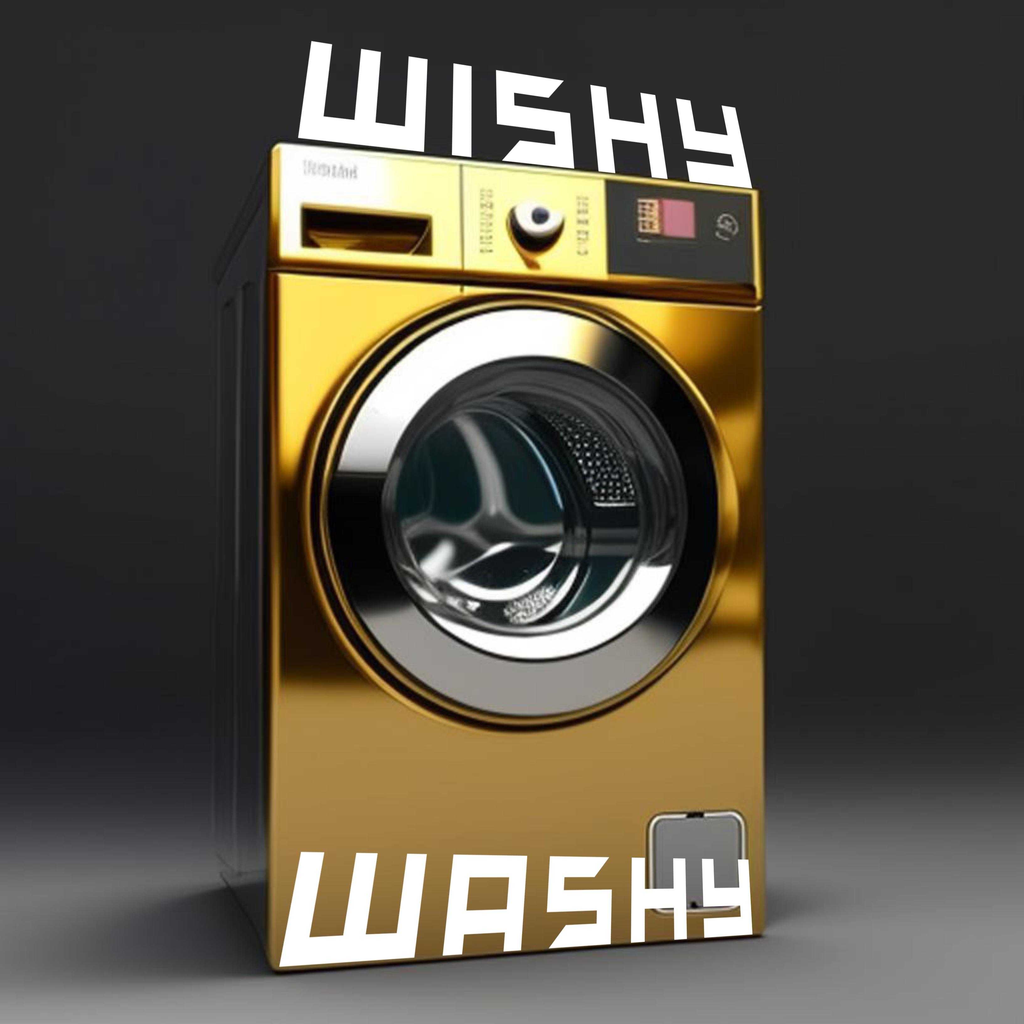 Постер альбома Wishy Washy