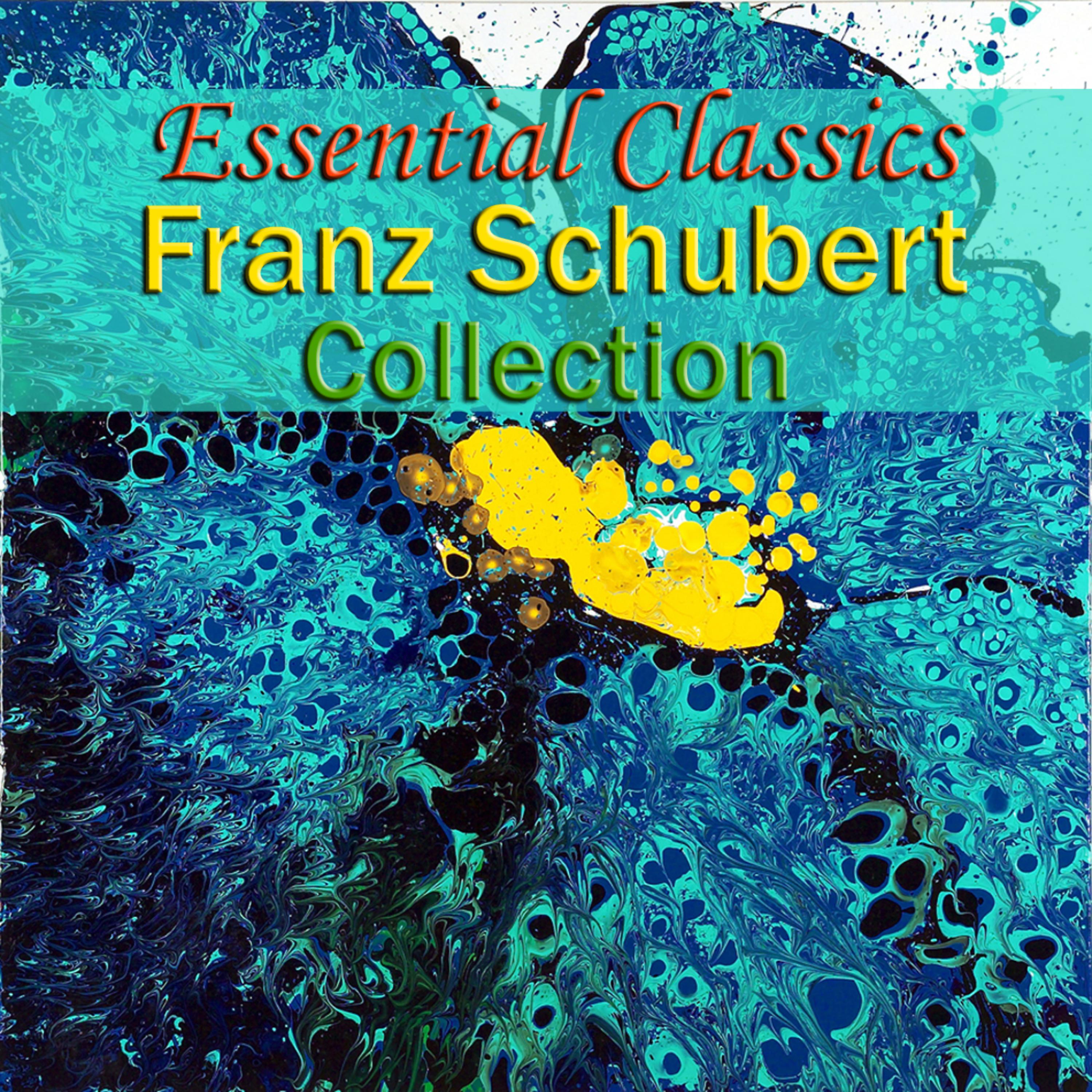 Постер альбома Essential Classics Franz Schubert Collection