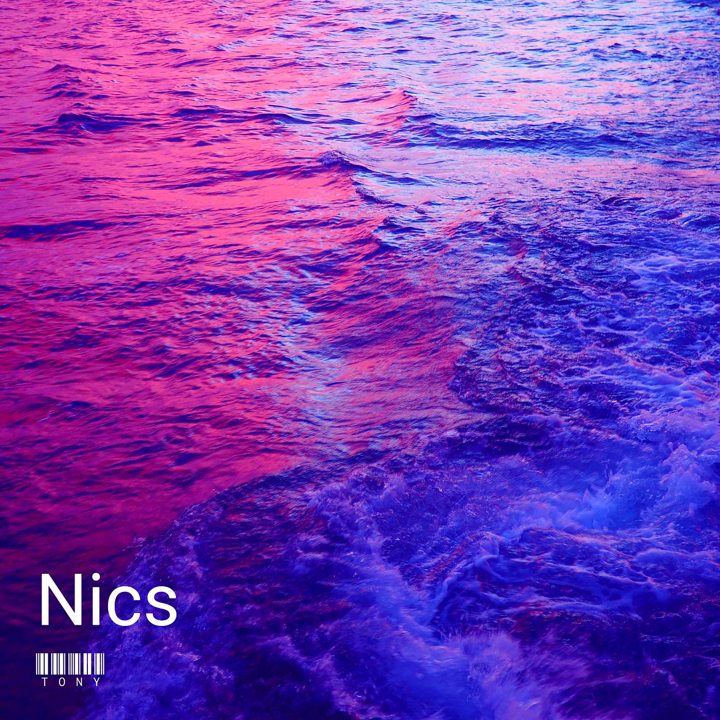 Постер альбома Nics