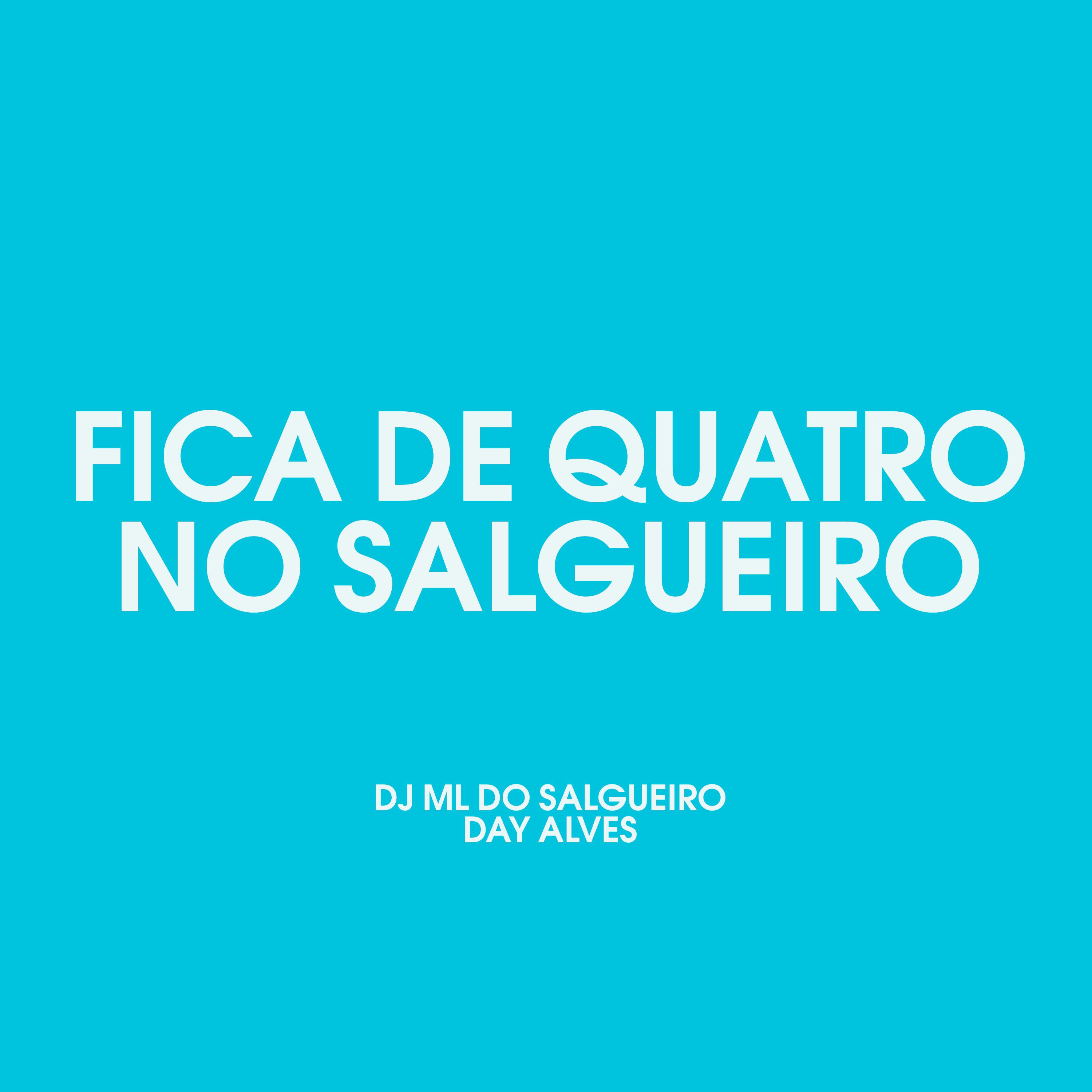 Постер альбома Fica de Quatro no Salgueiro