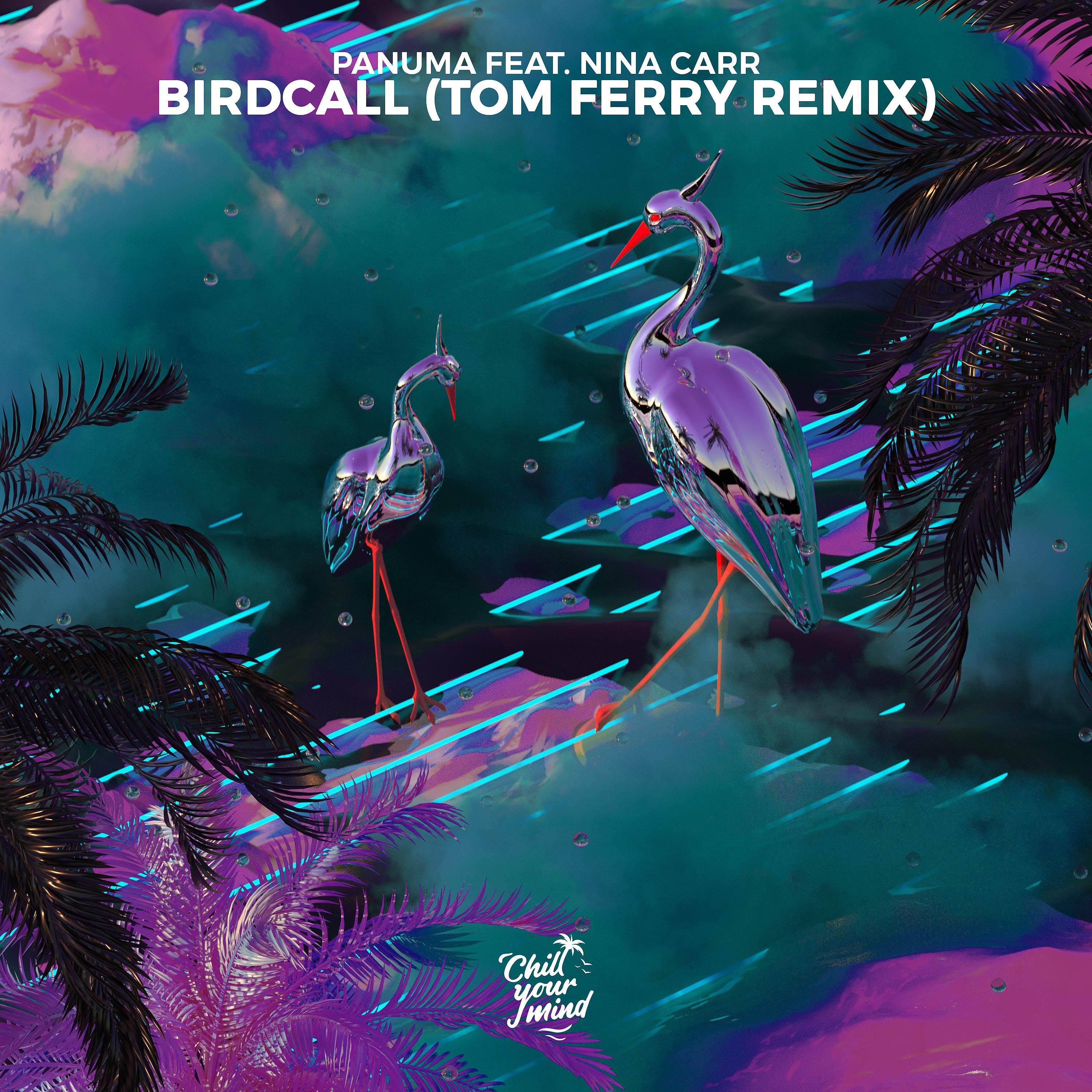 Постер альбома Birdcall (Tom Ferry Remix)