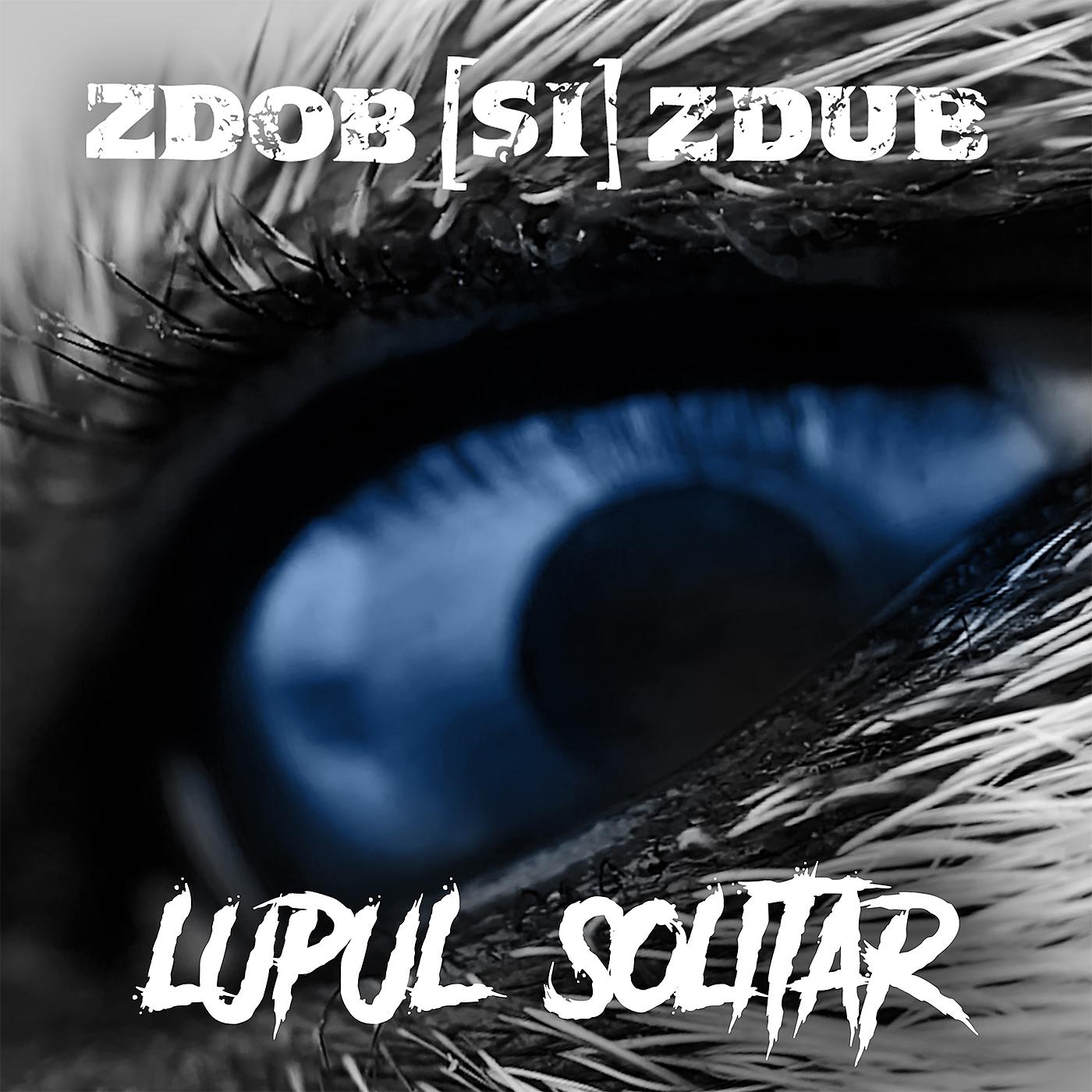 Постер альбома Lupul Solitar