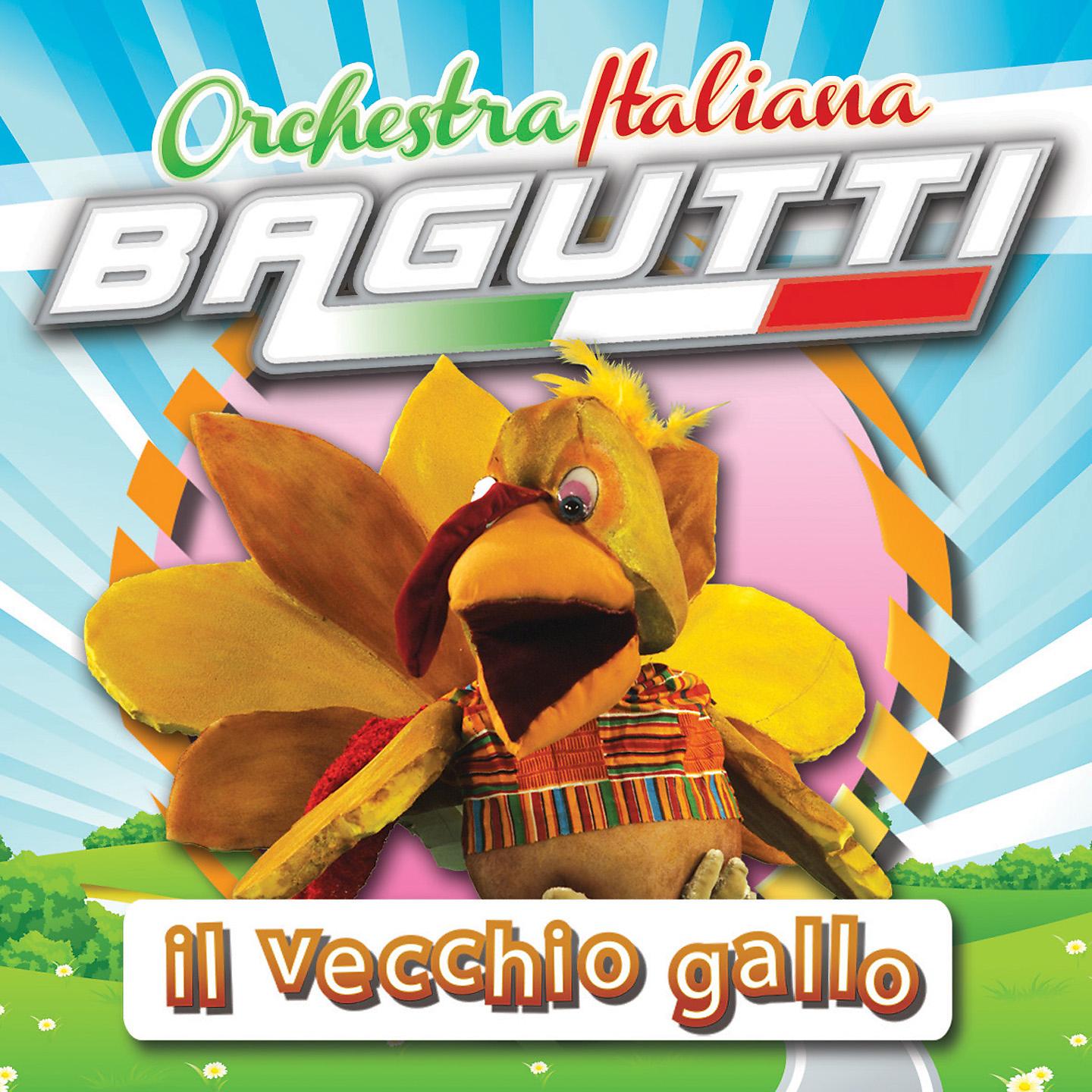 Постер альбома Il vecchio gallo