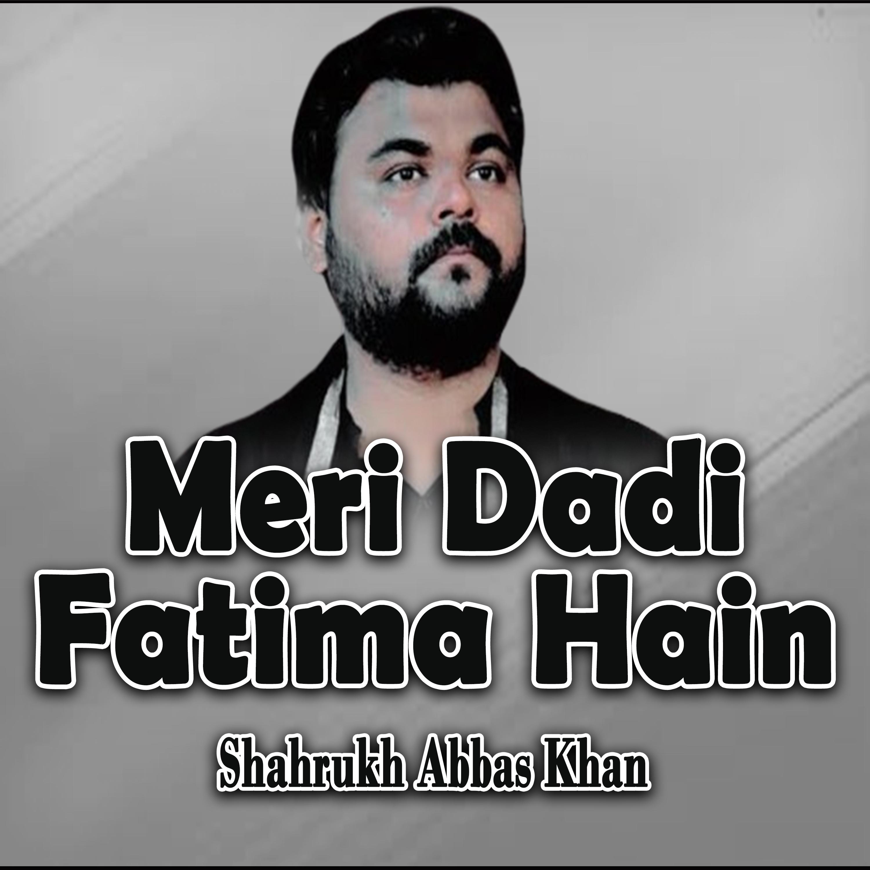 Постер альбома Meri Dadi Fatima Hain