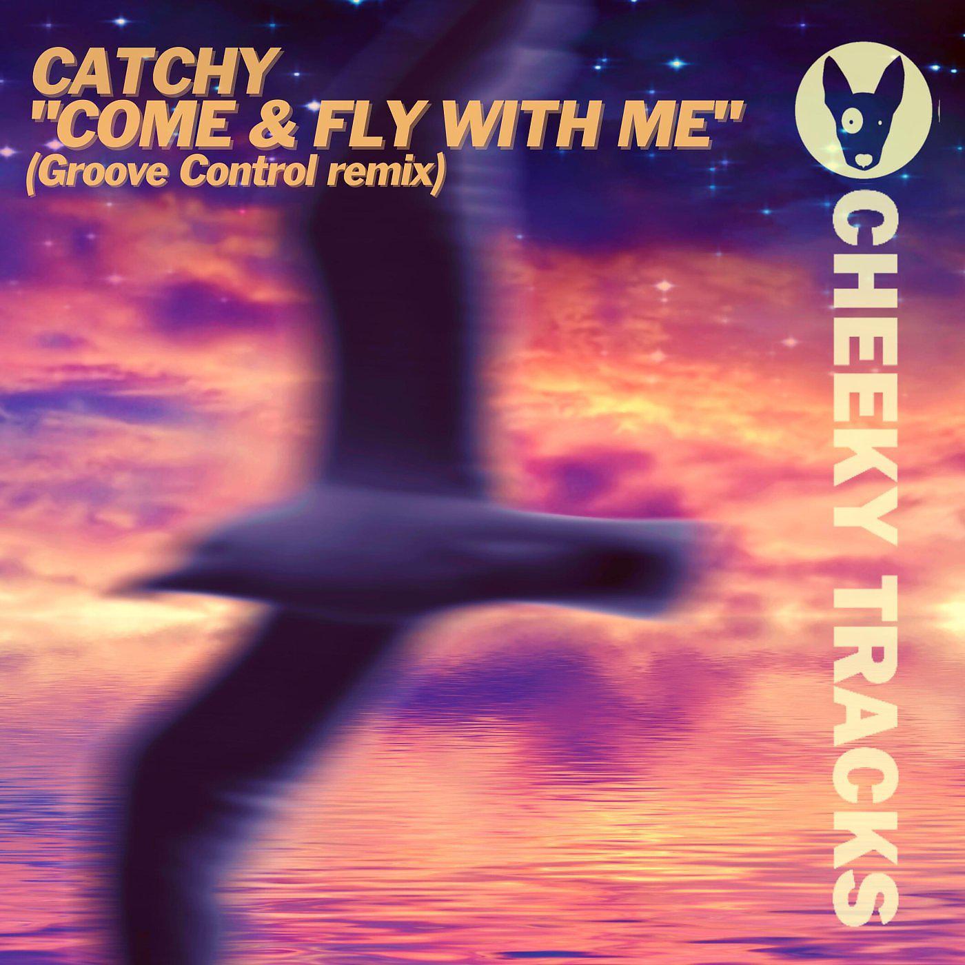 Постер альбома Come & Fly With Me (Groove Control remix)