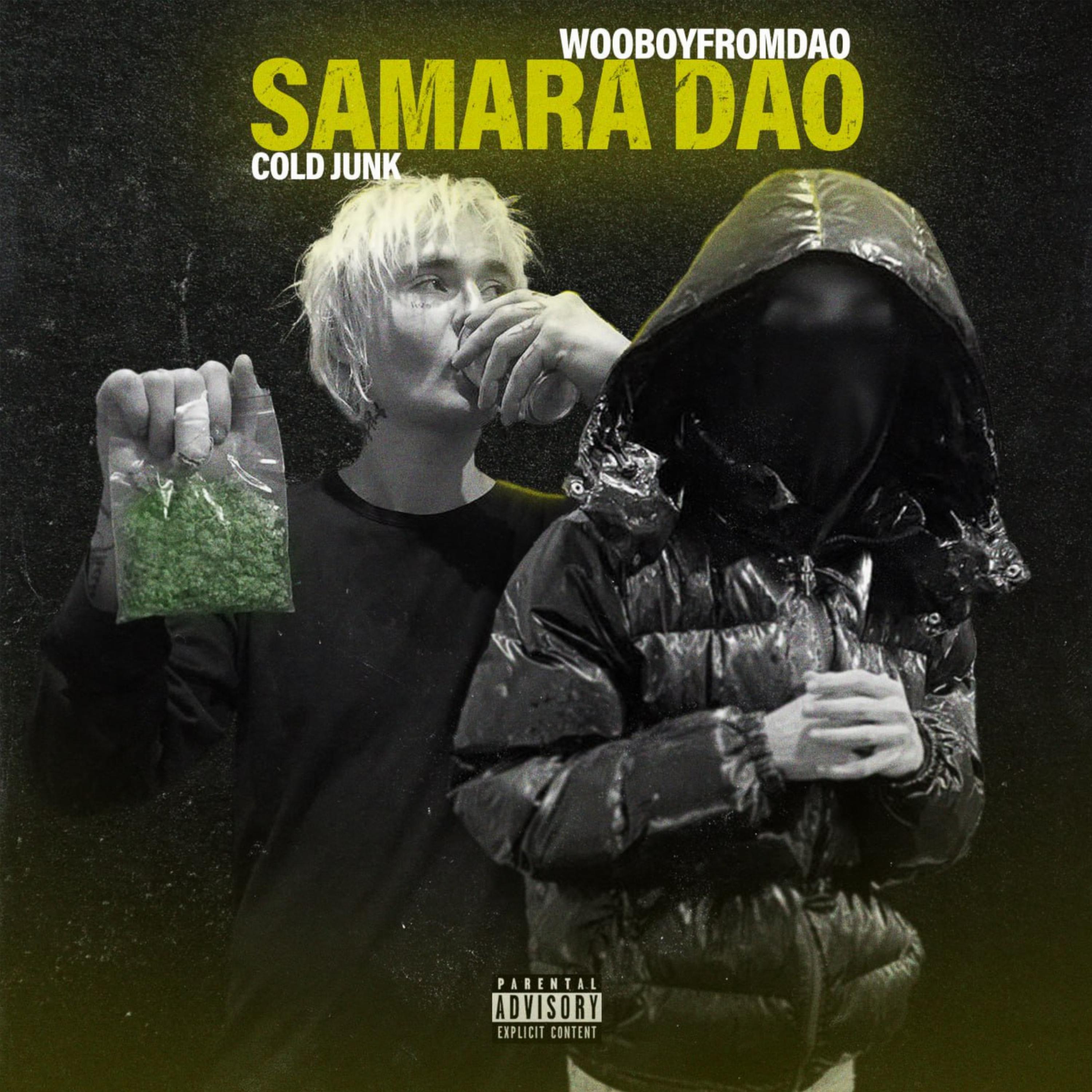 Постер альбома SAMARA DAO
