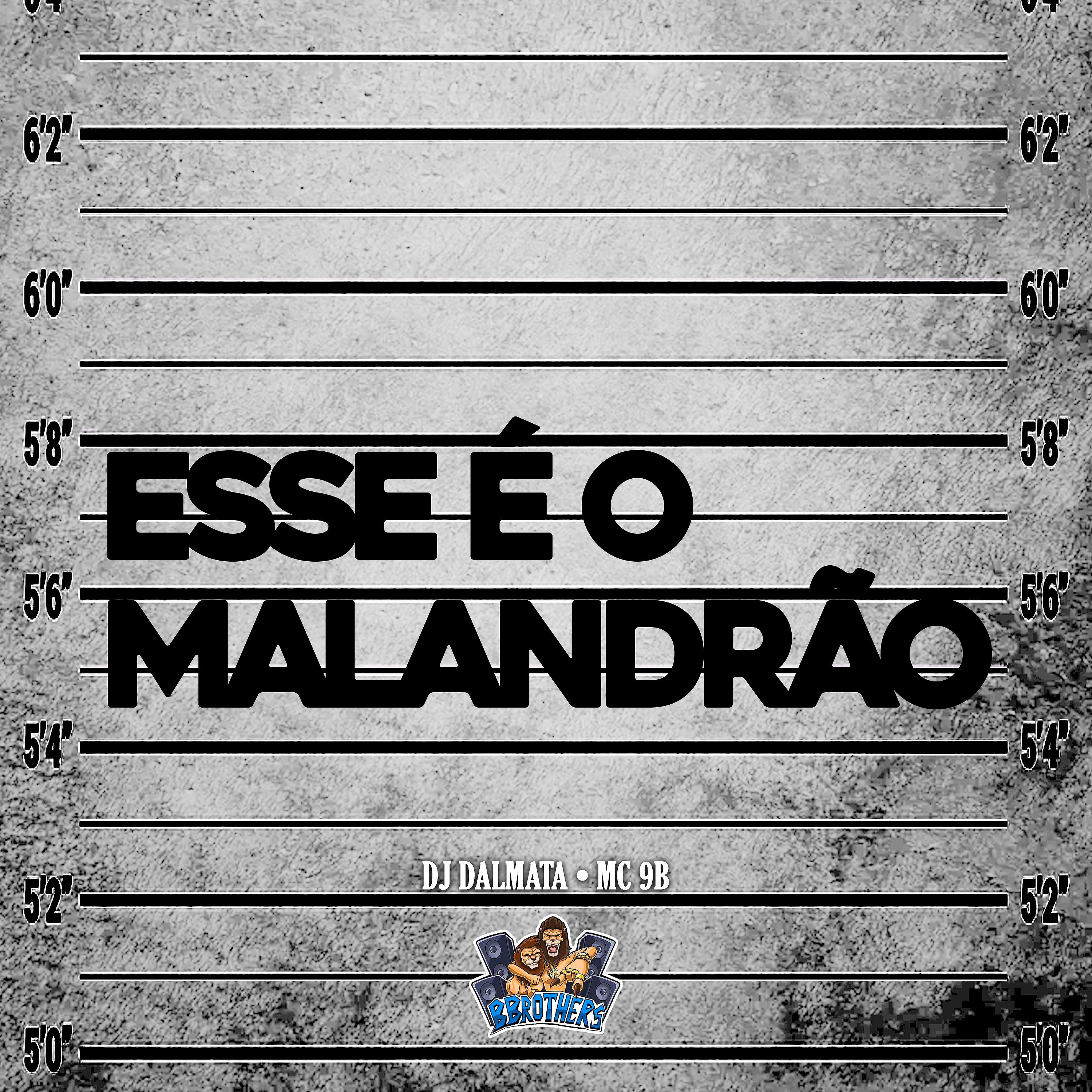 Постер альбома Esse É o Malandrão