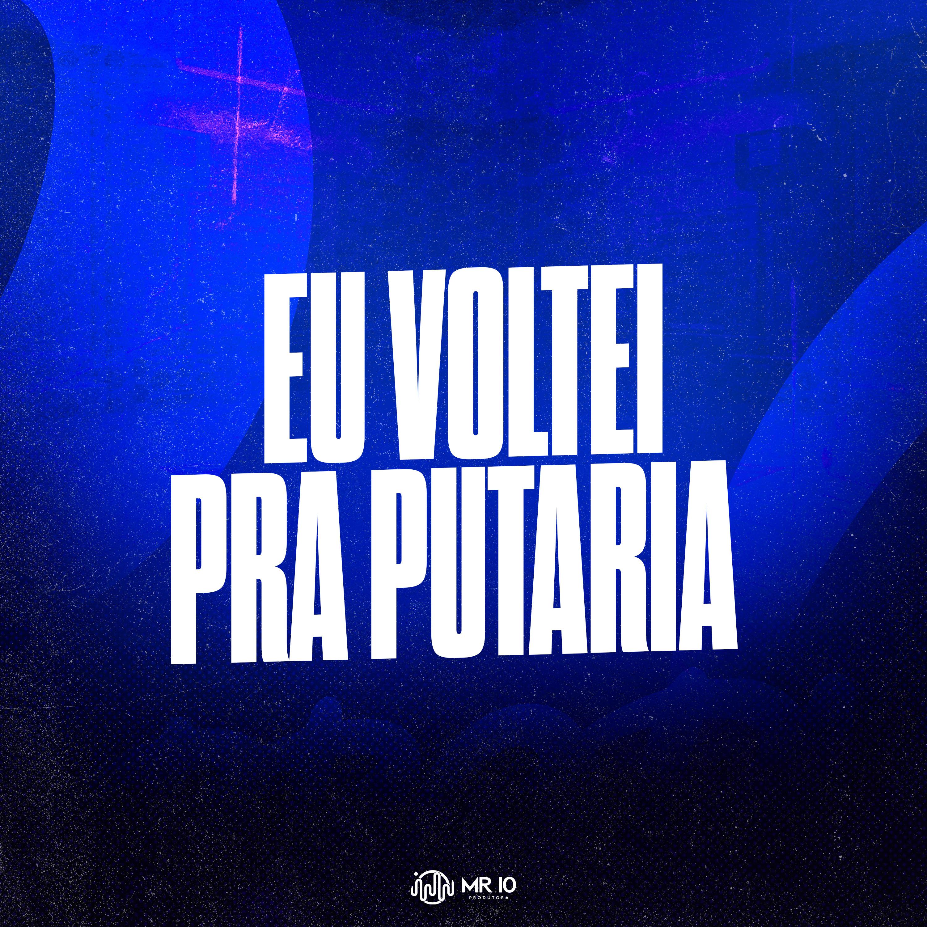 Постер альбома Eu Voltei pra Putaria